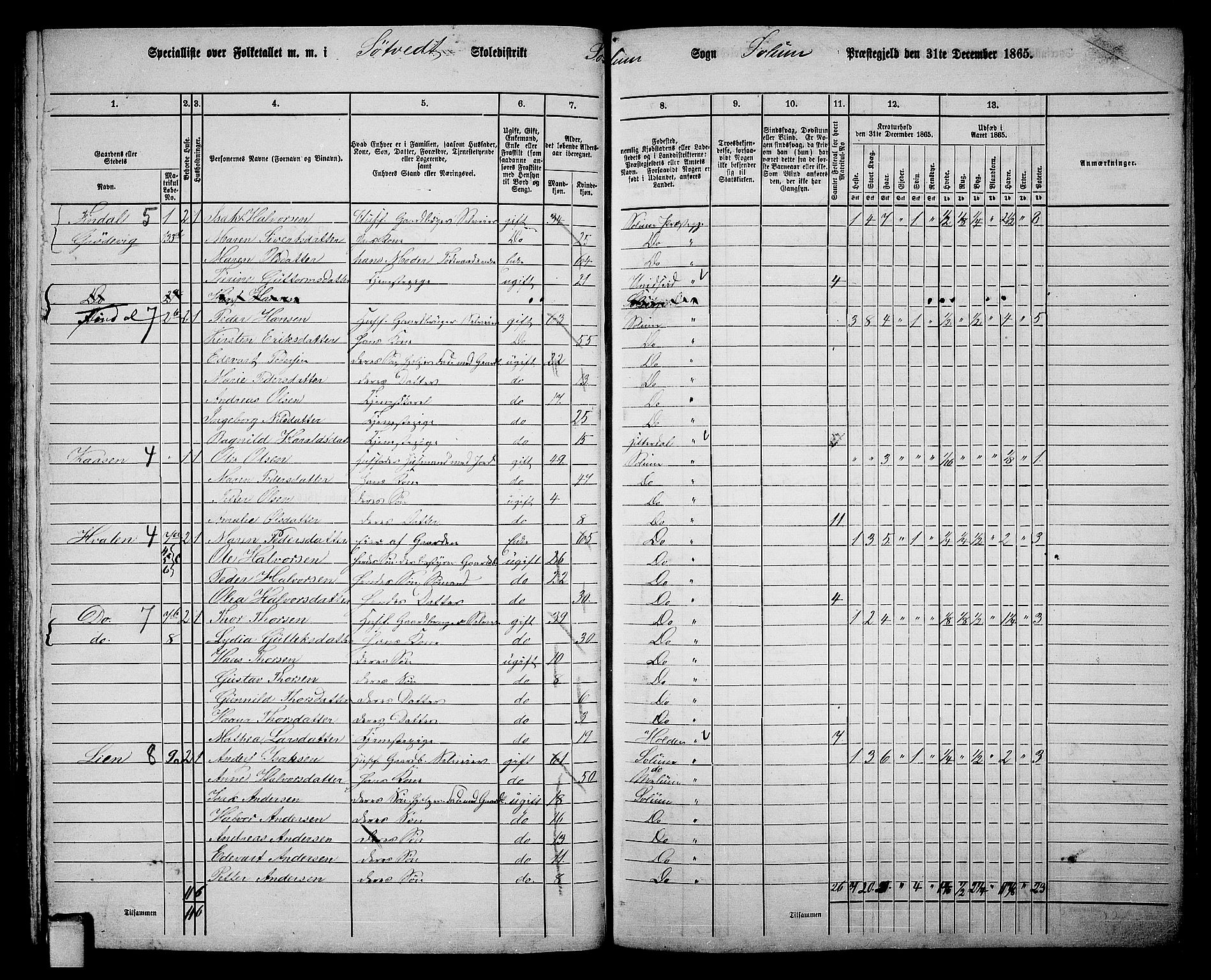 RA, 1865 census for Solum, 1865, p. 117