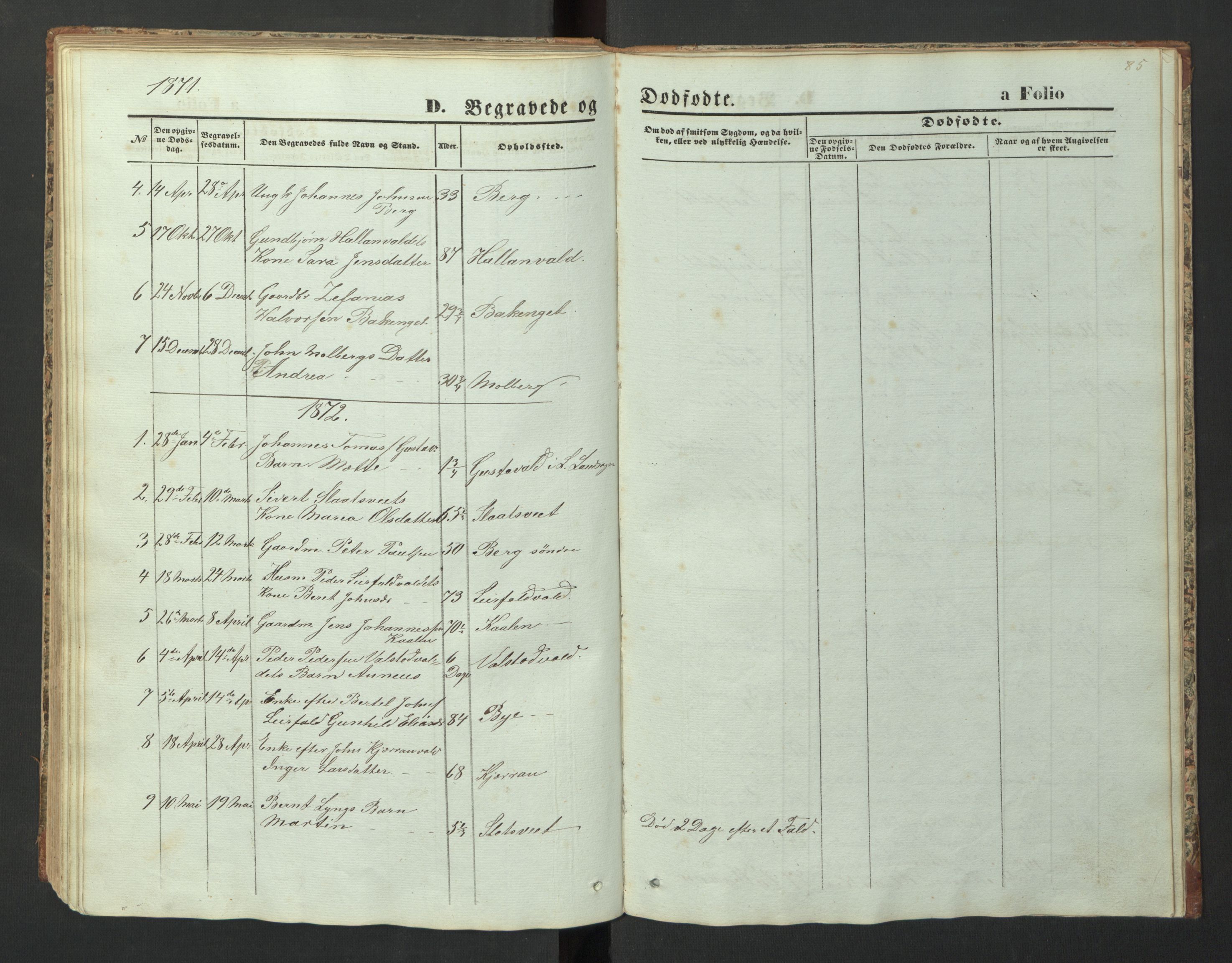 Ministerialprotokoller, klokkerbøker og fødselsregistre - Nord-Trøndelag, SAT/A-1458/726/L0271: Parish register (copy) no. 726C02, 1869-1897, p. 85
