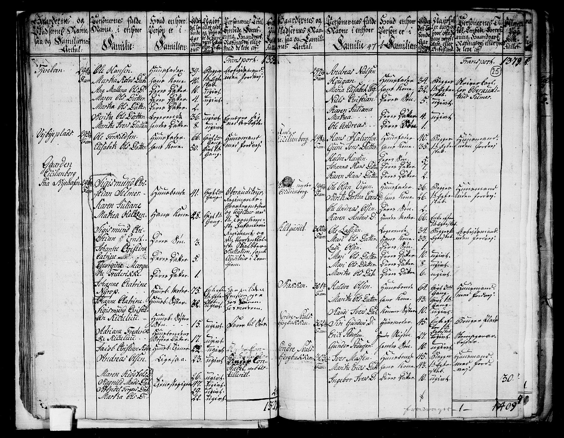 RA, 1801 census for 1660P Strinda, 1801, p. 24b-25a