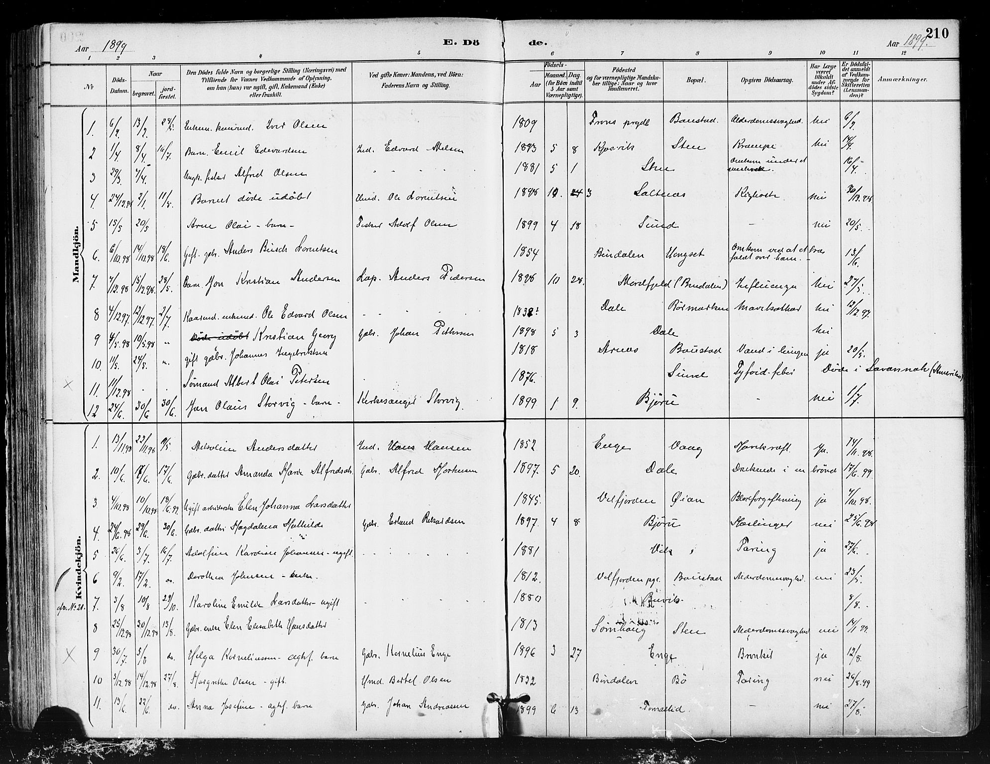 Ministerialprotokoller, klokkerbøker og fødselsregistre - Nordland, SAT/A-1459/812/L0178: Parish register (official) no. 812A07, 1886-1900, p. 210