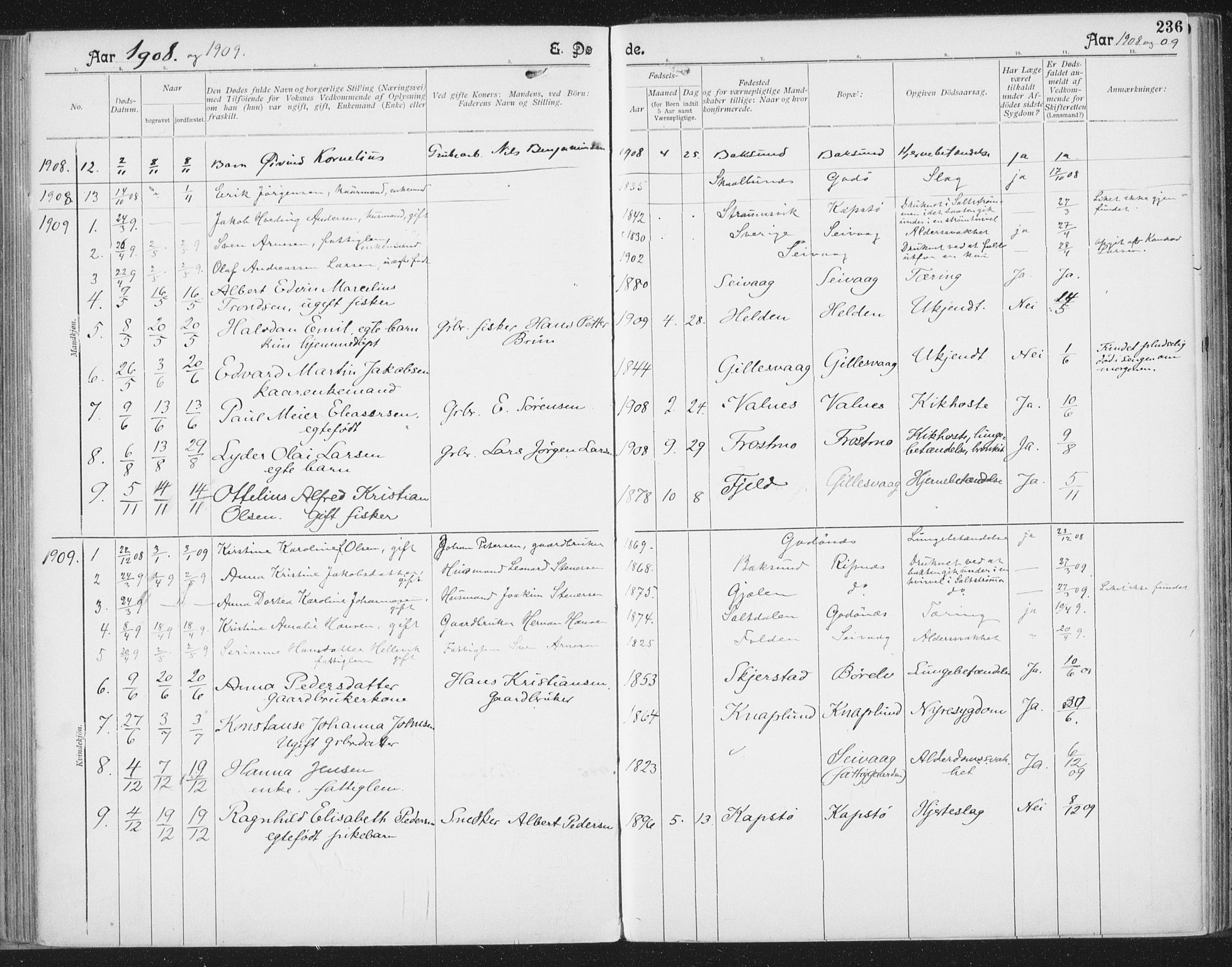 Ministerialprotokoller, klokkerbøker og fødselsregistre - Nordland, SAT/A-1459/804/L0081: Parish register (official) no. 804A02, 1901-1915, p. 236