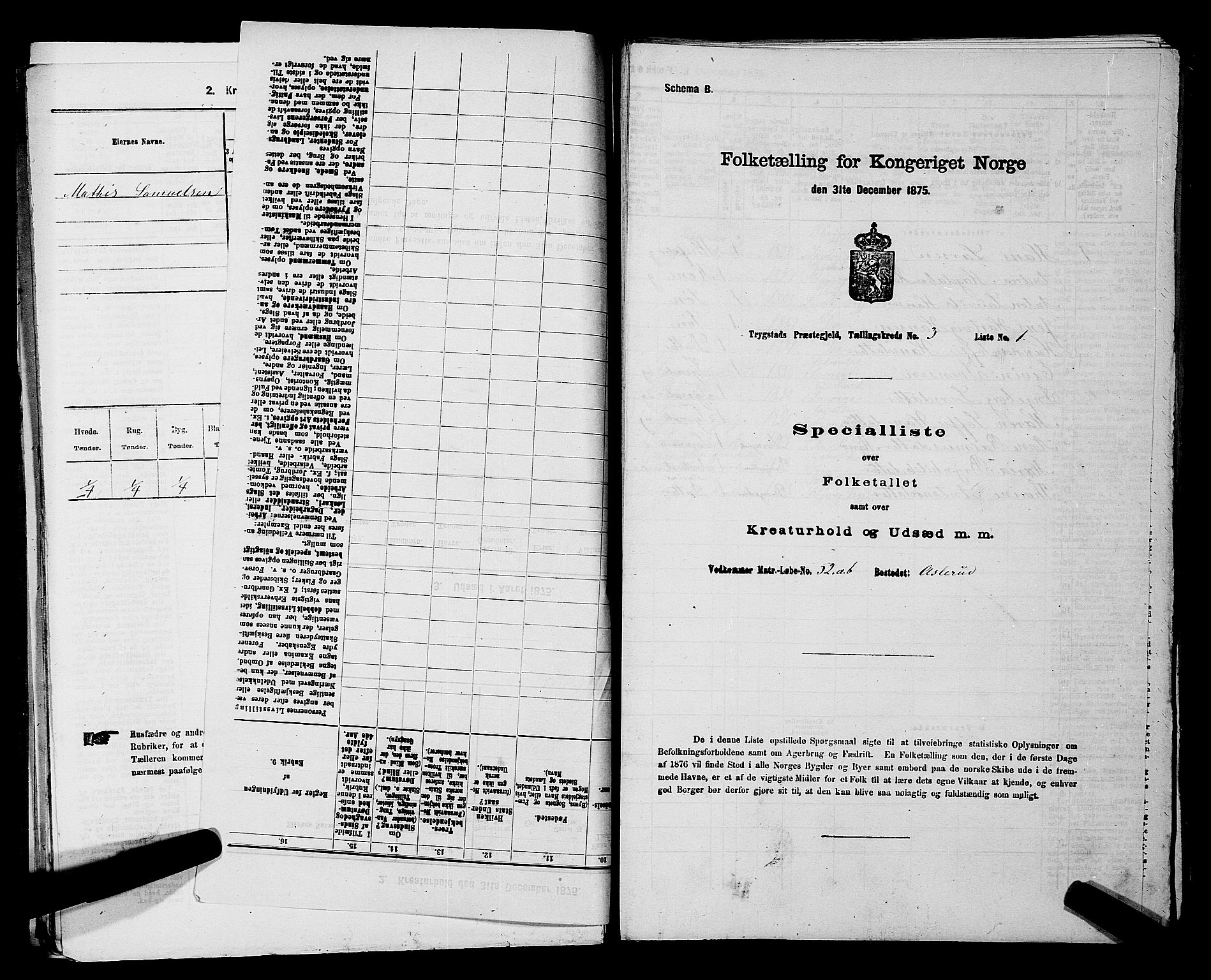 RA, 1875 census for 0122P Trøgstad, 1875, p. 276