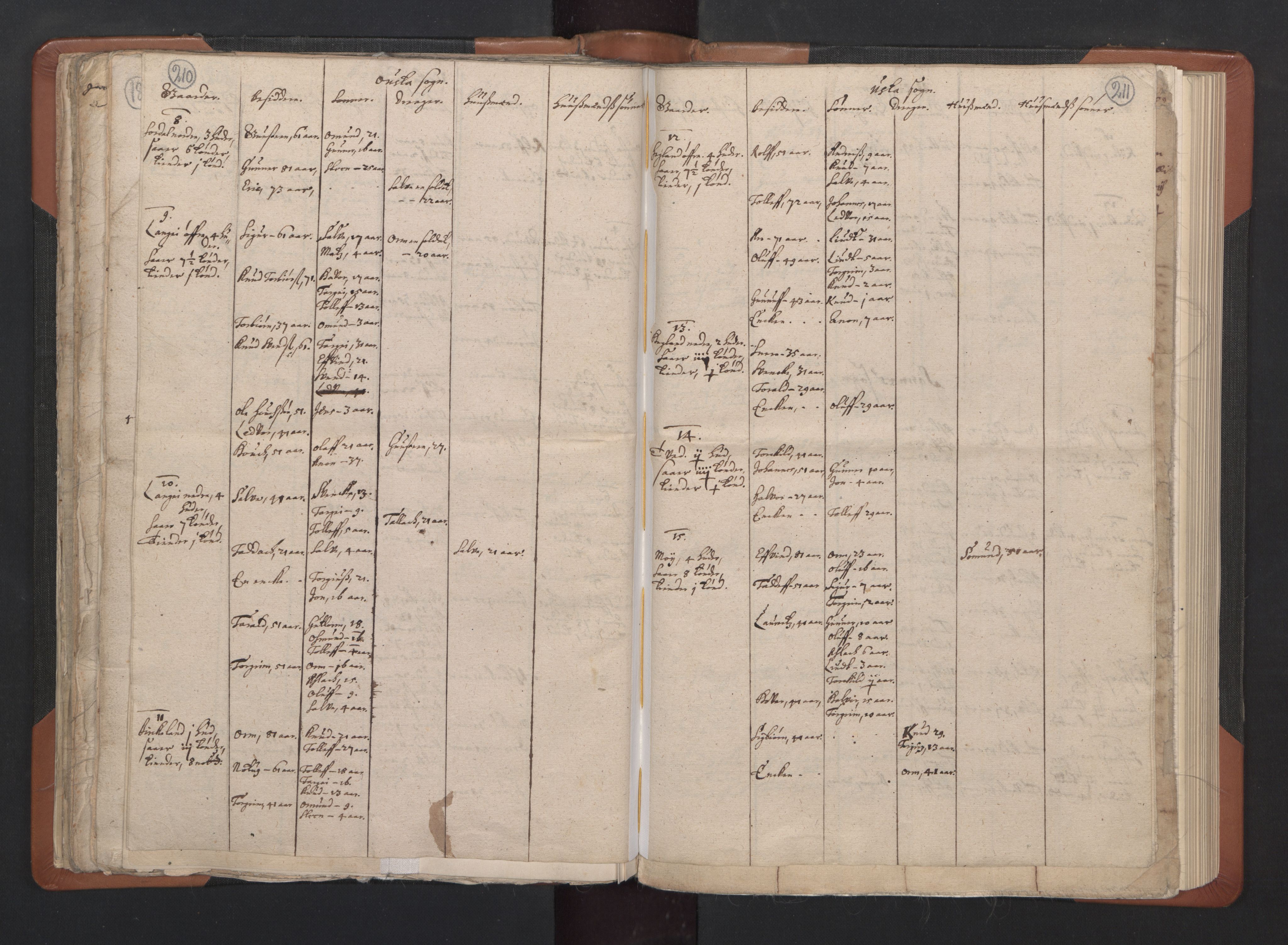 RA, Vicar's Census 1664-1666, no. 14: Råbyggelag deanery, 1664-1666, p. 210-211