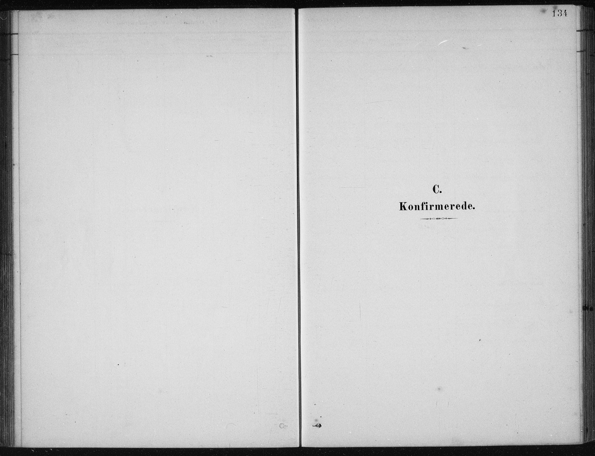 Etne sokneprestembete, SAB/A-75001/H/Haa: Parish register (official) no. D  1, 1879-1919, p. 134