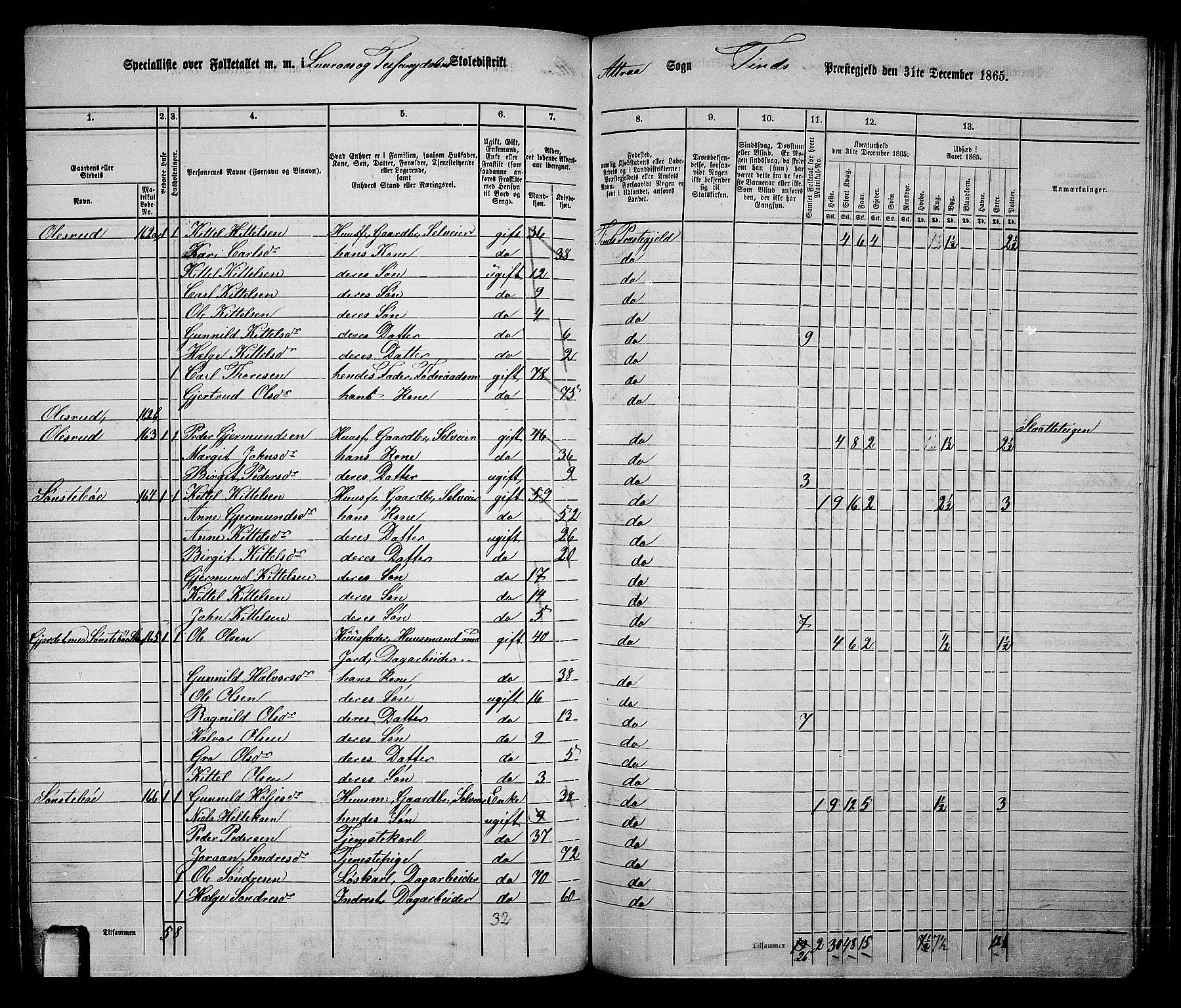 RA, 1865 census for Tinn, 1865, p. 41