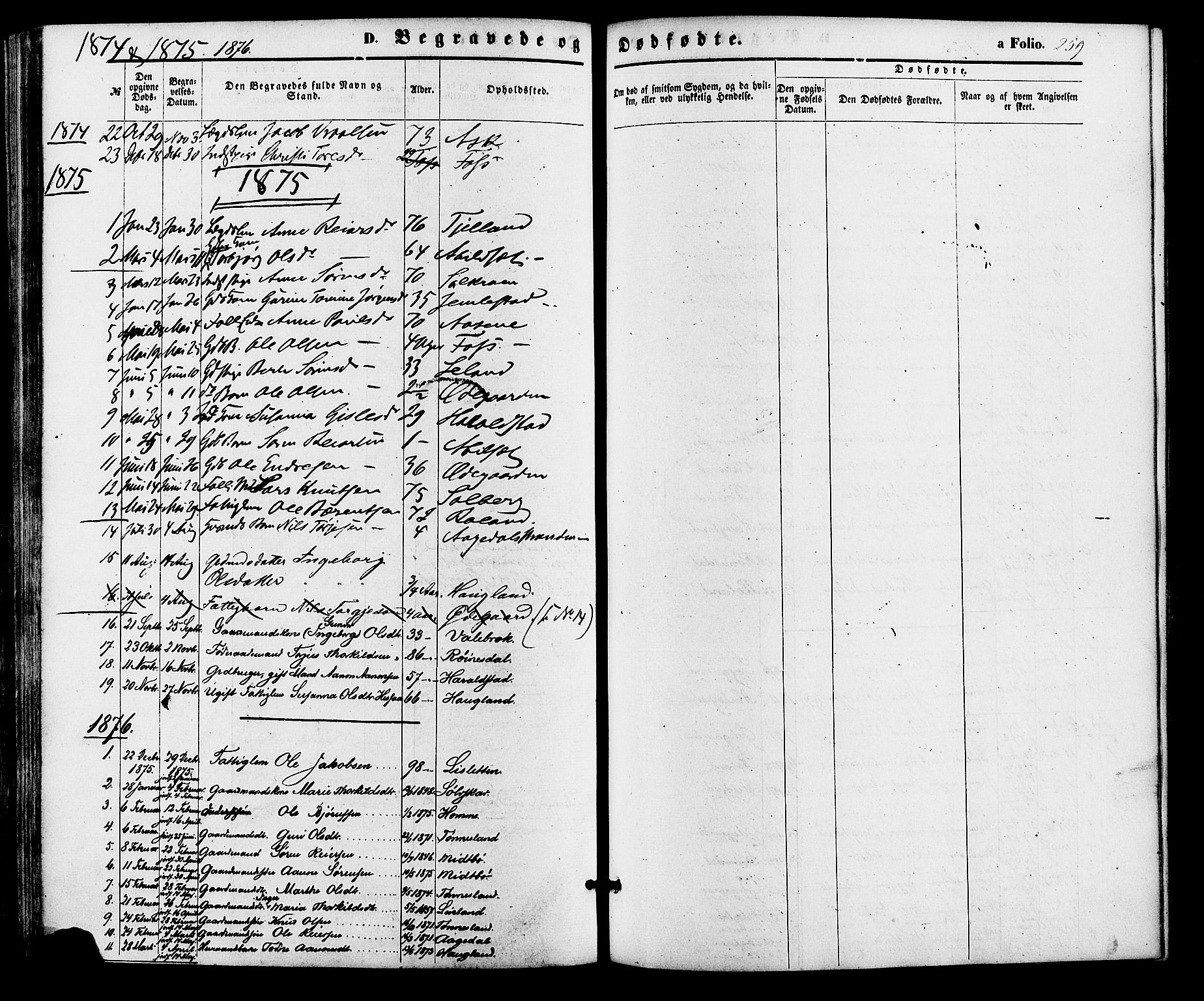 Bjelland sokneprestkontor, SAK/1111-0005/F/Fa/Faa/L0003: Parish register (official) no. A 3, 1867-1887, p. 259