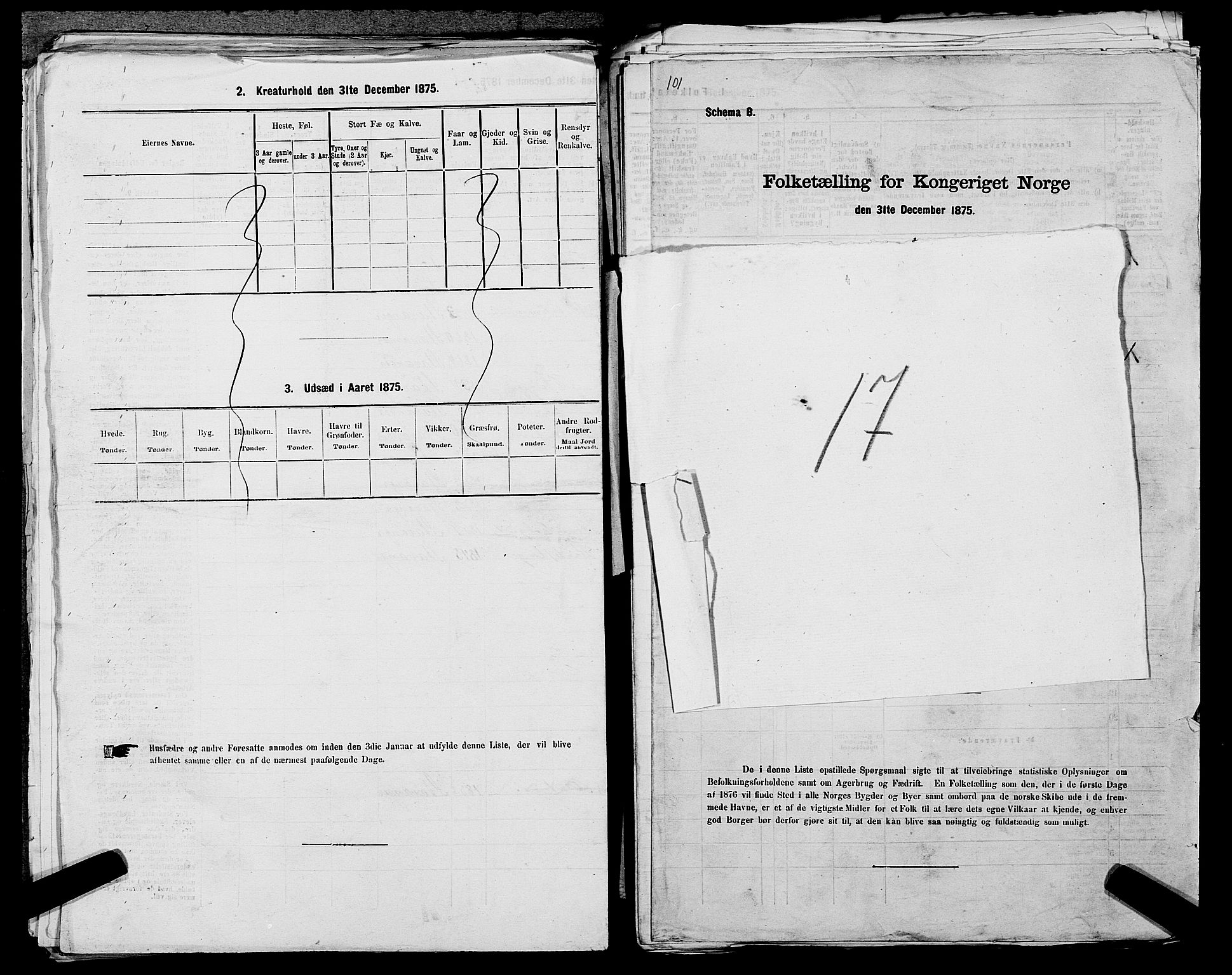 SAST, 1875 census for 1103 Stavanger, 1875, p. 3365