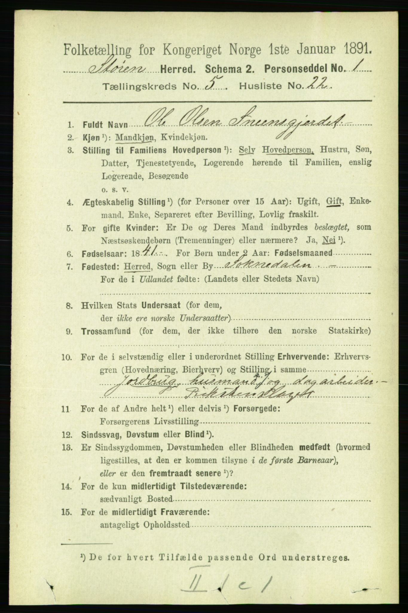 RA, 1891 census for 1648 Støren, 1891, p. 2060