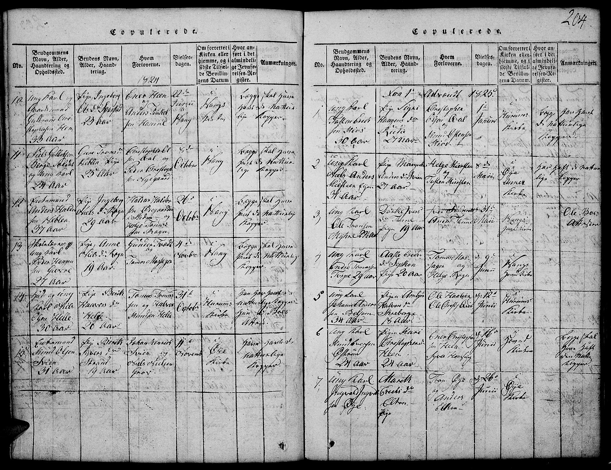 Vang prestekontor, Valdres, SAH/PREST-140/H/Hb/L0002: Parish register (copy) no. 2, 1814-1889, p. 204