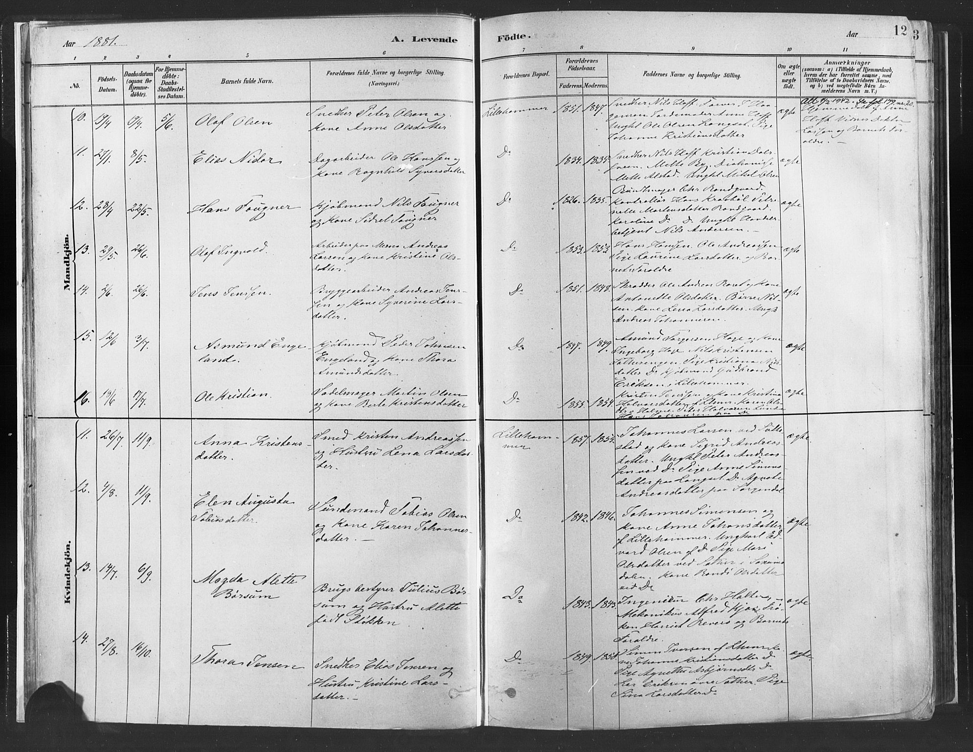 Fåberg prestekontor, AV/SAH-PREST-086/H/Ha/Haa/L0010: Parish register (official) no. 10, 1879-1900, p. 12