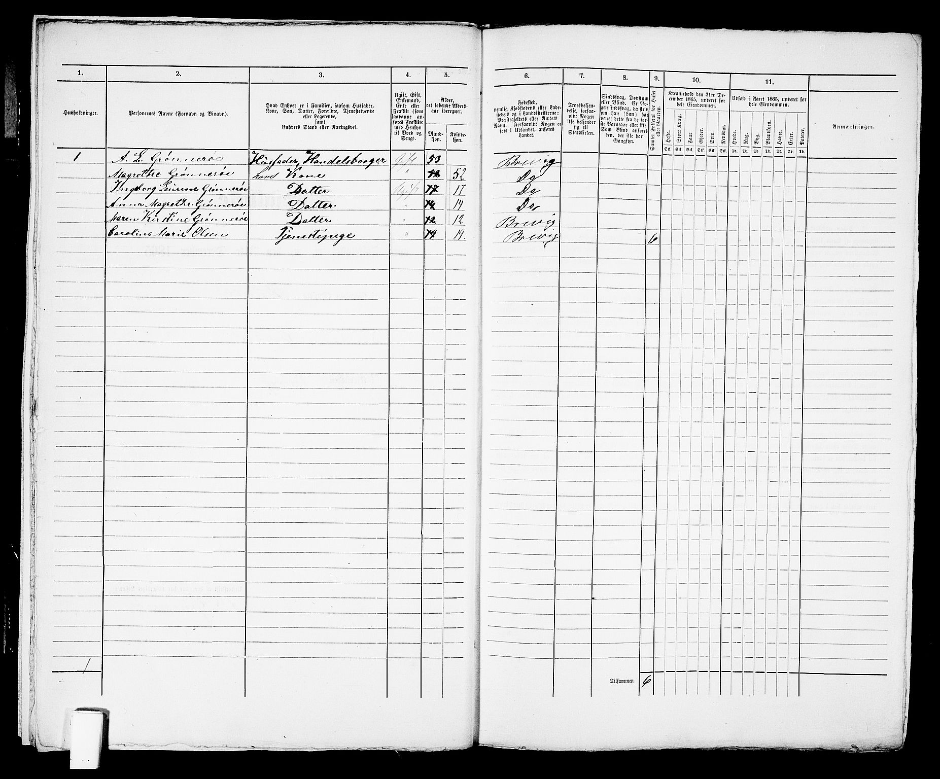 RA, 1865 census for Brevik, 1865, p. 384