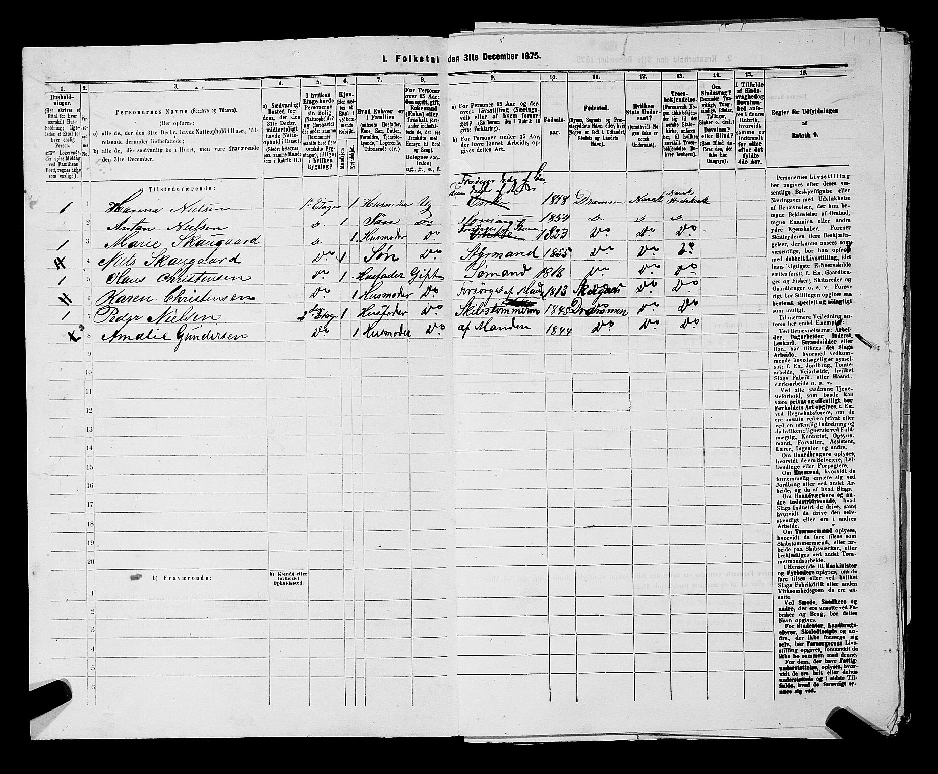 SAKO, 1875 census for 0602 Drammen, 1875, p. 2866