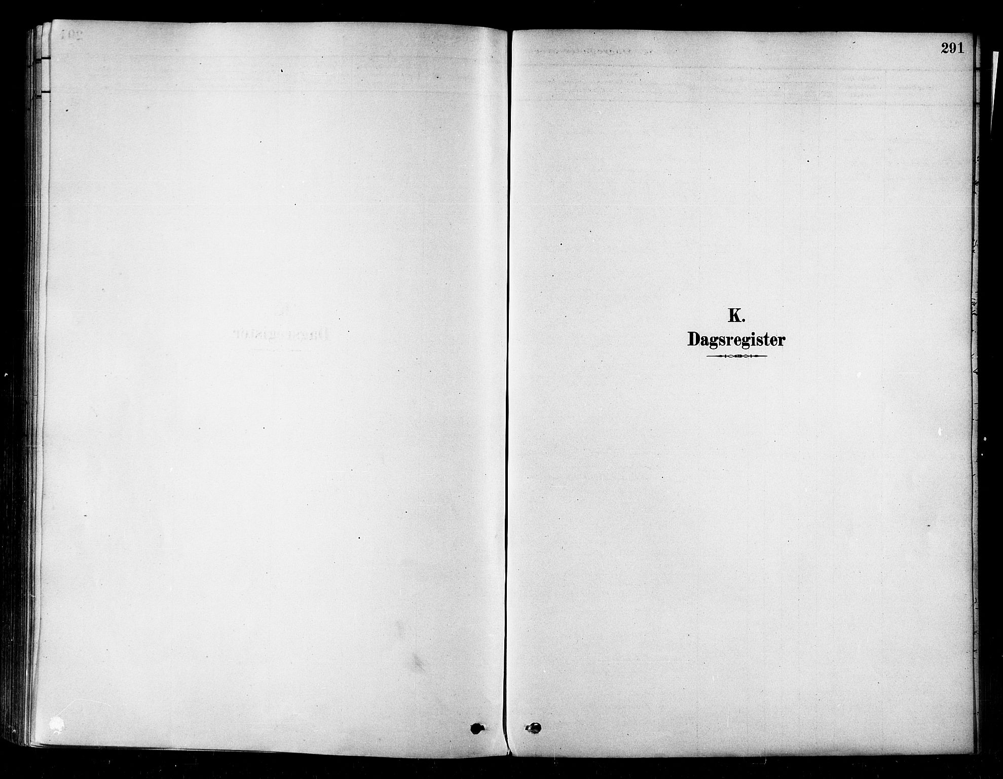Alta sokneprestkontor, SATØ/S-1338/H/Ha/L0002.kirke: Parish register (official) no. 2, 1879-1892, p. 291