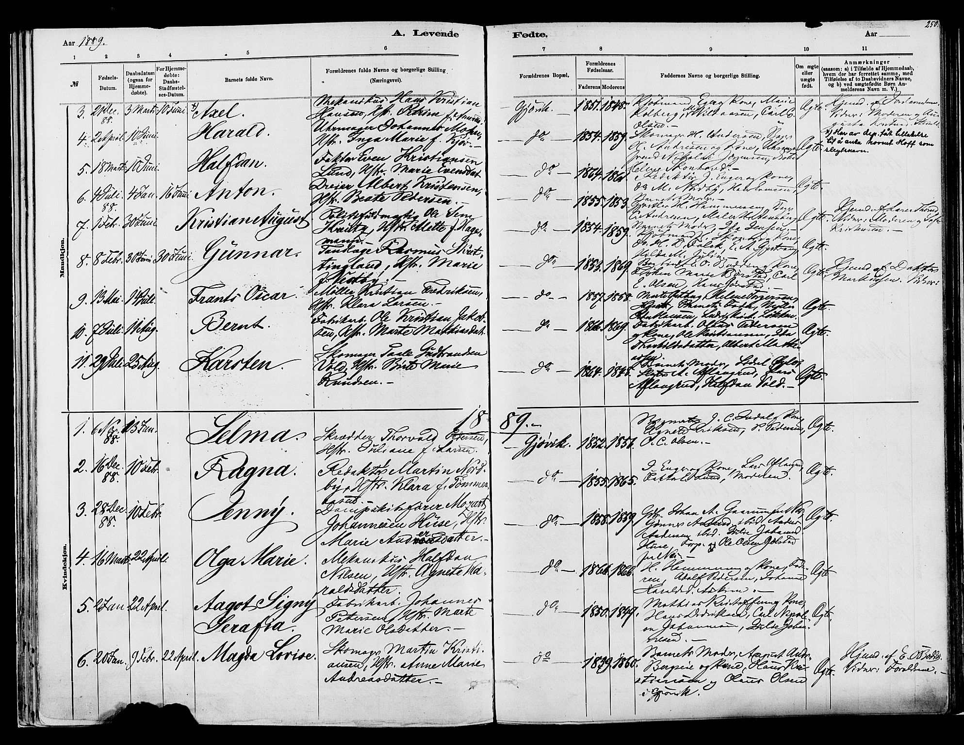 Vardal prestekontor, SAH/PREST-100/H/Ha/Haa/L0008: Parish register (official) no. 8, 1878-1890, p. 250