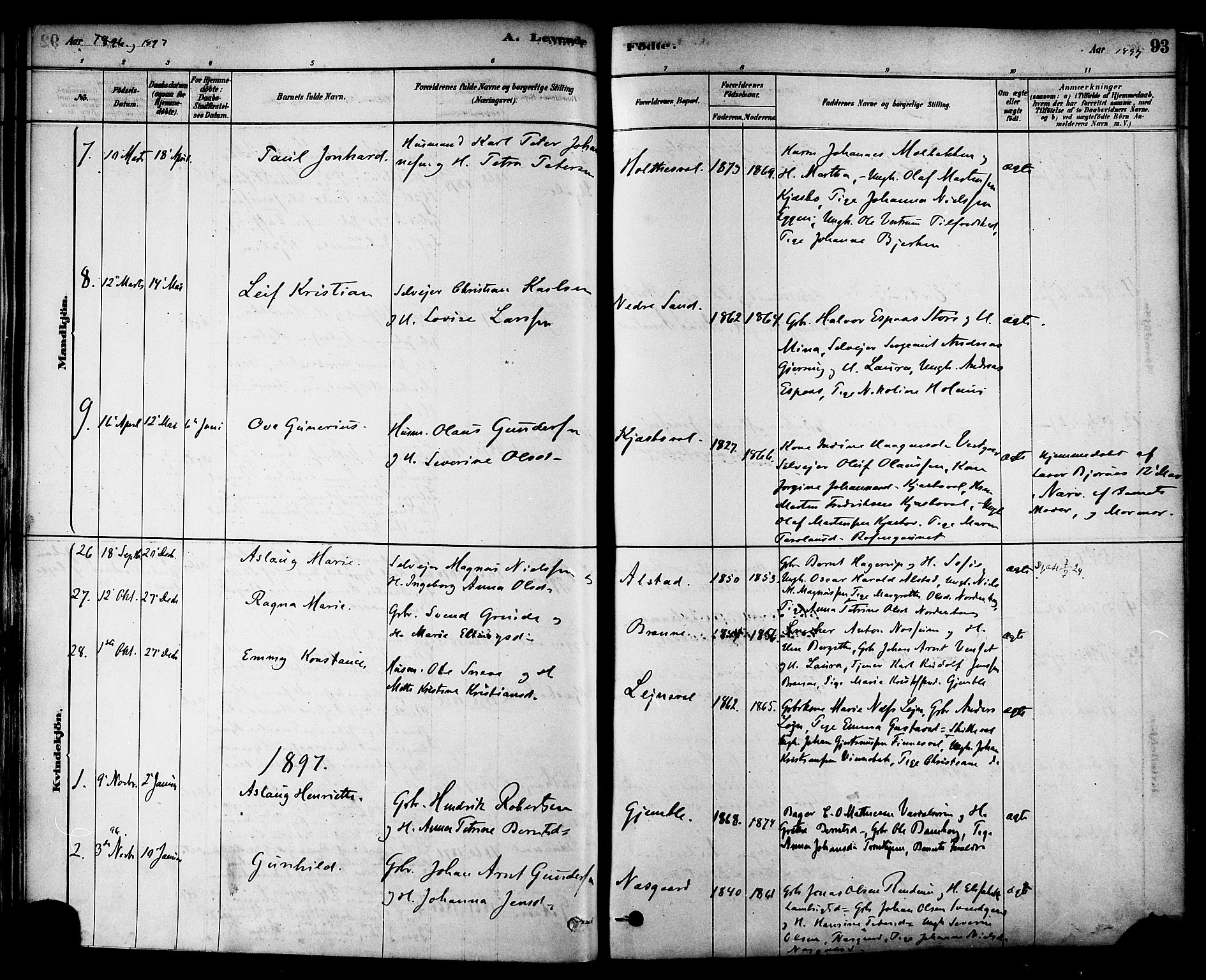 Ministerialprotokoller, klokkerbøker og fødselsregistre - Nord-Trøndelag, SAT/A-1458/717/L0159: Parish register (official) no. 717A09, 1878-1898, p. 93