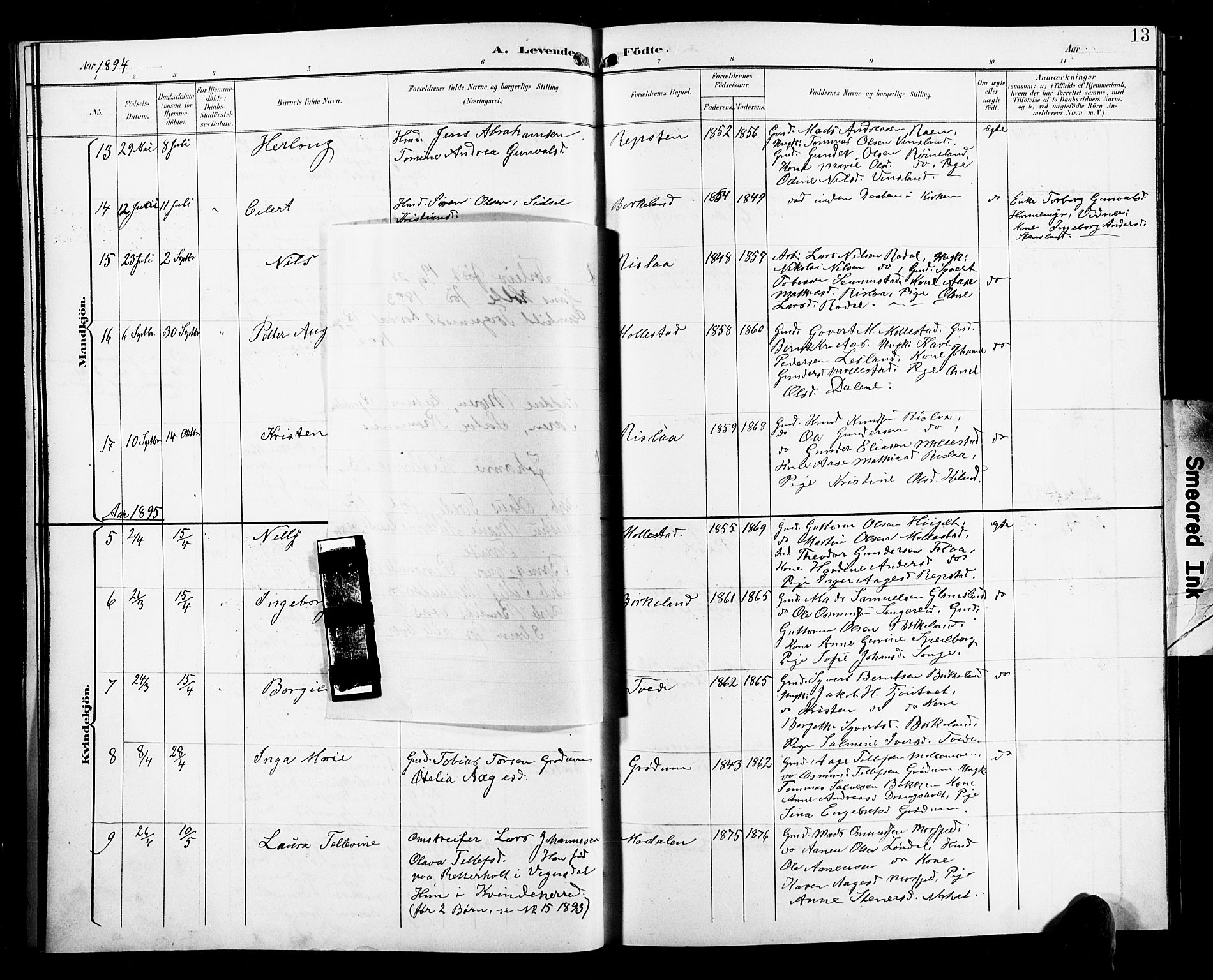 Birkenes sokneprestkontor, AV/SAK-1111-0004/F/Fb/L0004: Parish register (copy) no. B 4, 1893-1930, p. 13