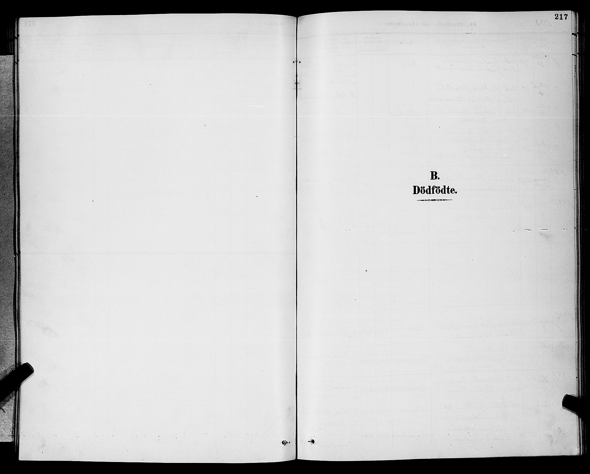 Gjerpen kirkebøker, SAKO/A-265/G/Ga/L0002: Parish register (copy) no. I 2, 1883-1900, p. 217