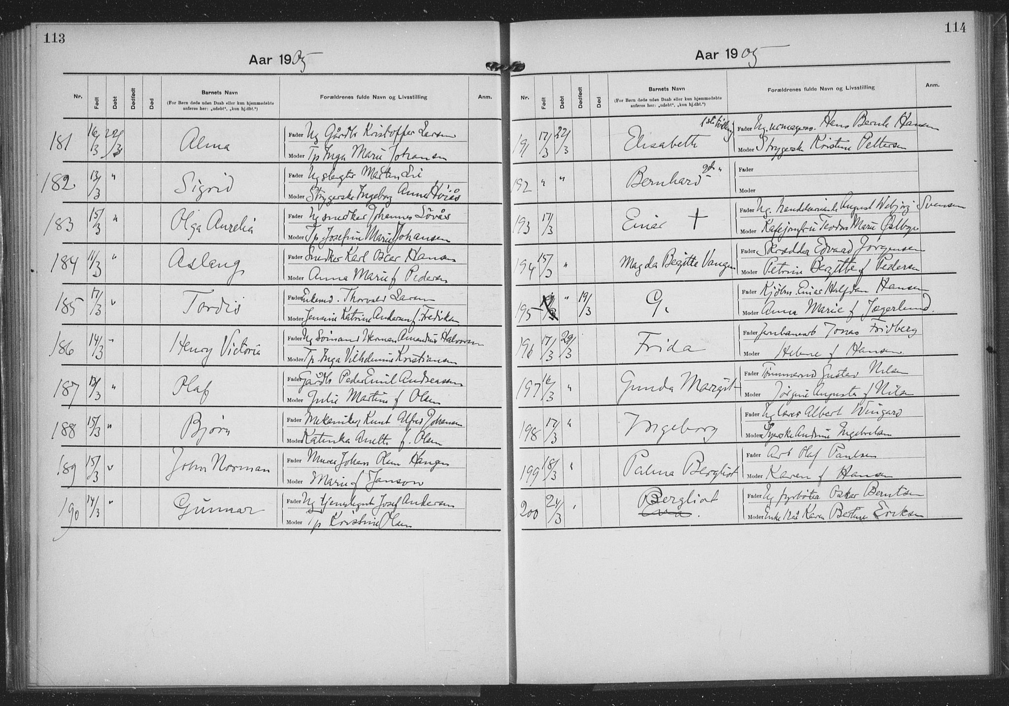 Rikshospitalet prestekontor Kirkebøker, SAO/A-10309b/K/L0006/0001: Baptism register no. 6.1, 1904-1906, p. 113-114