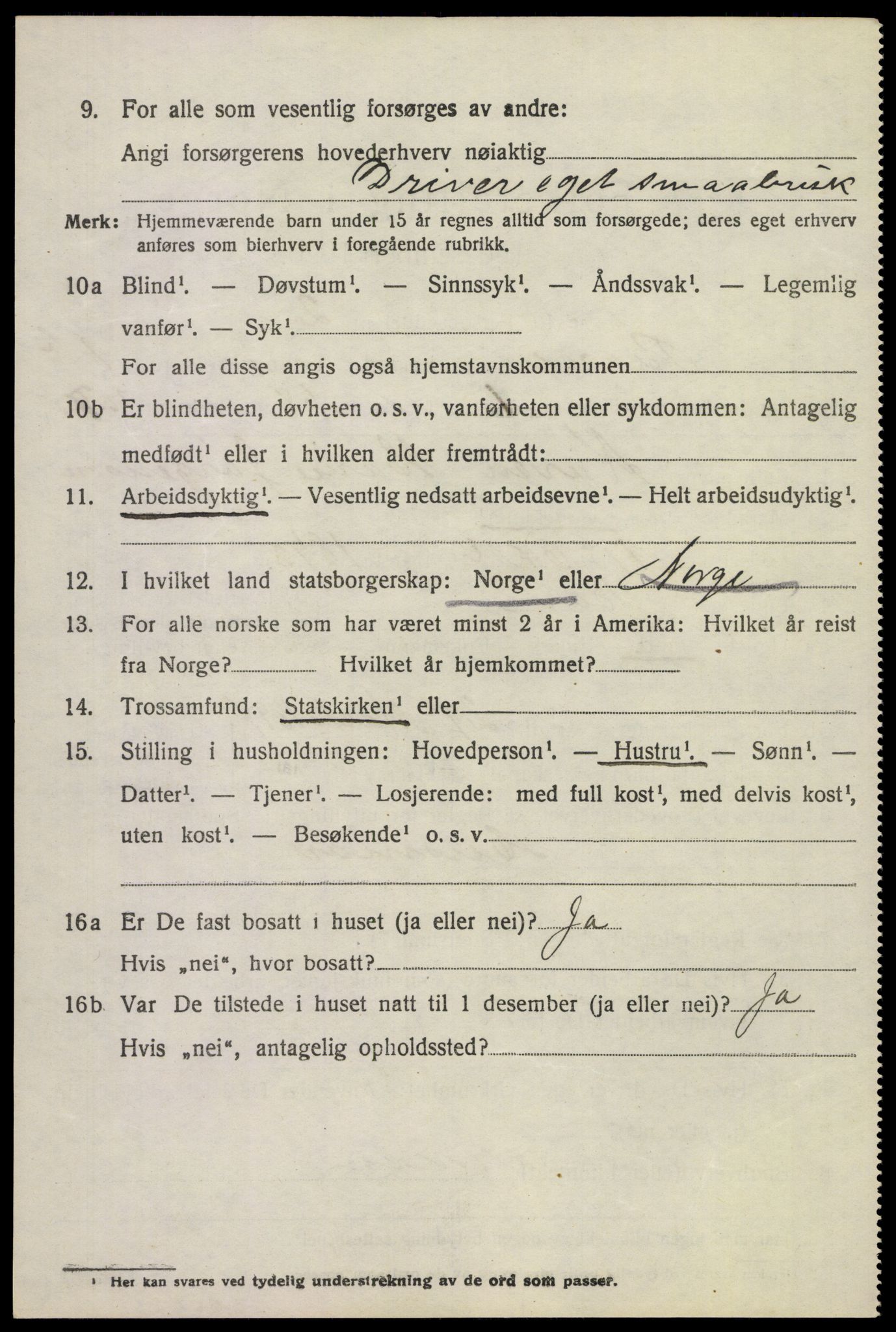 SAKO, 1920 census for Borre, 1920, p. 2629