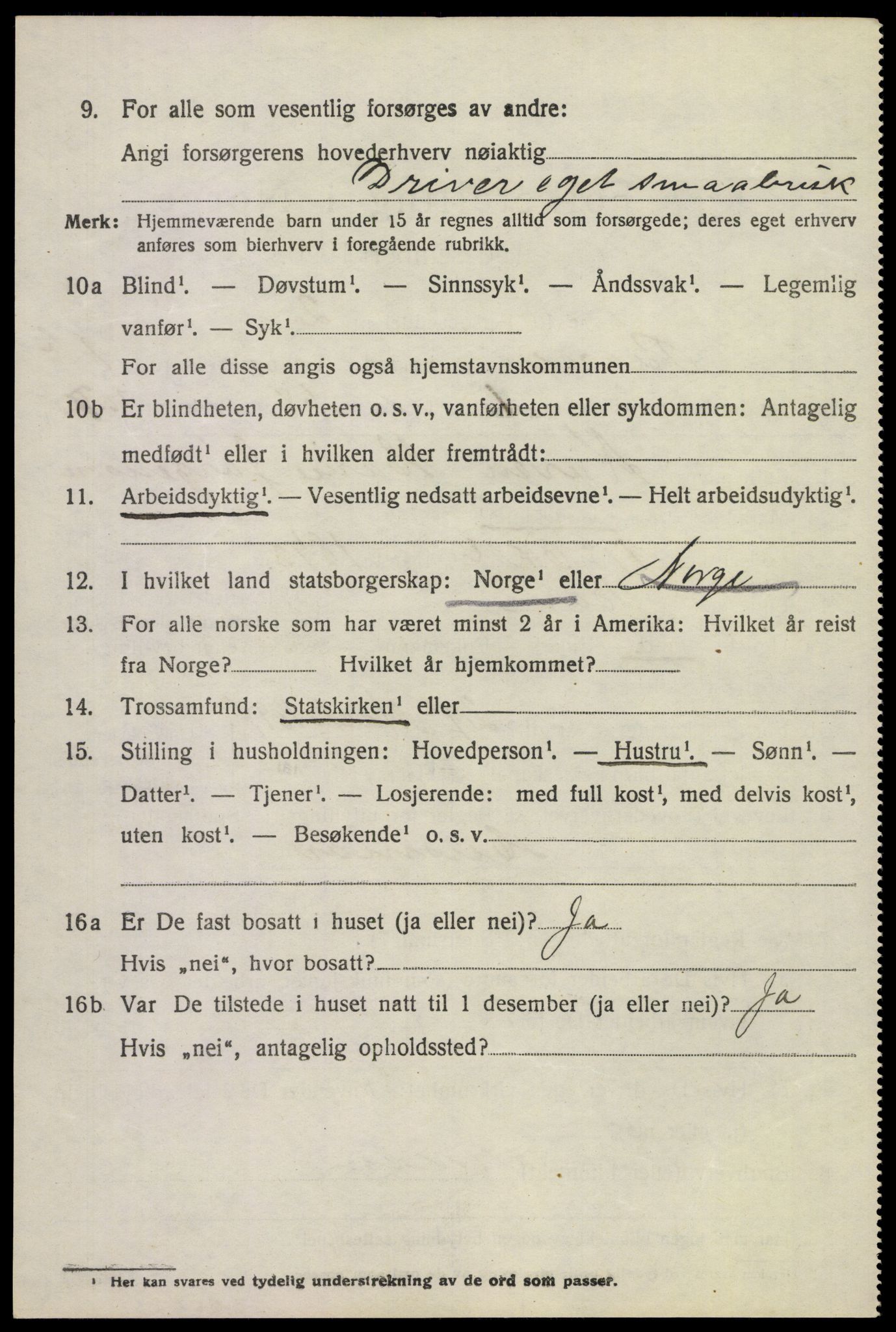 SAKO, 1920 census for Borre, 1920, p. 2629