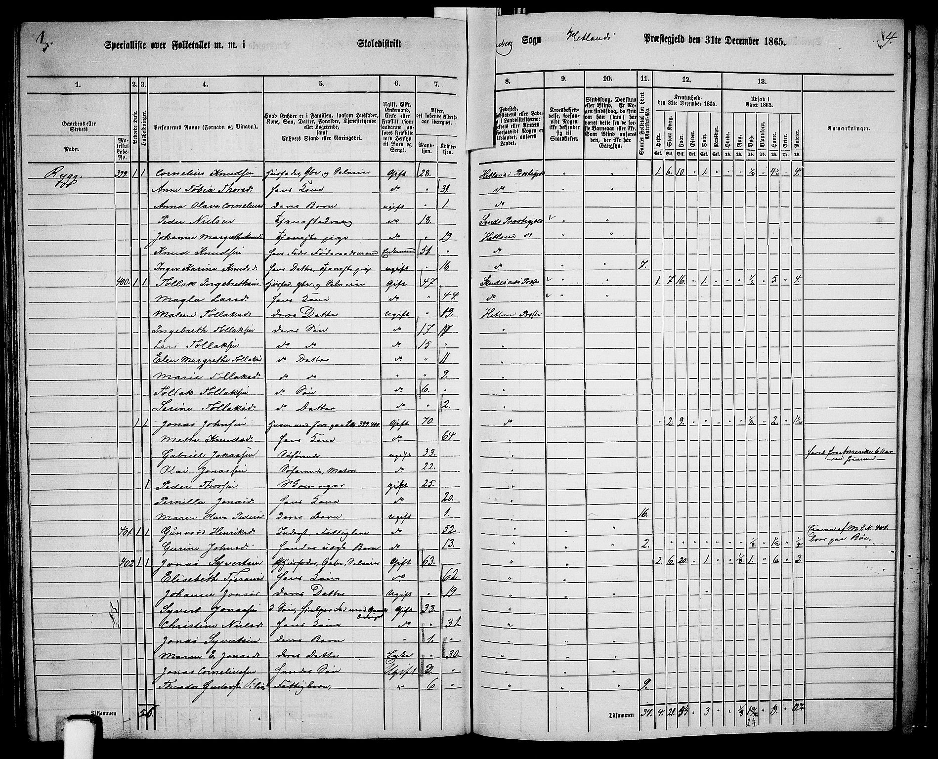 RA, 1865 census for Hetland, 1865, p. 185