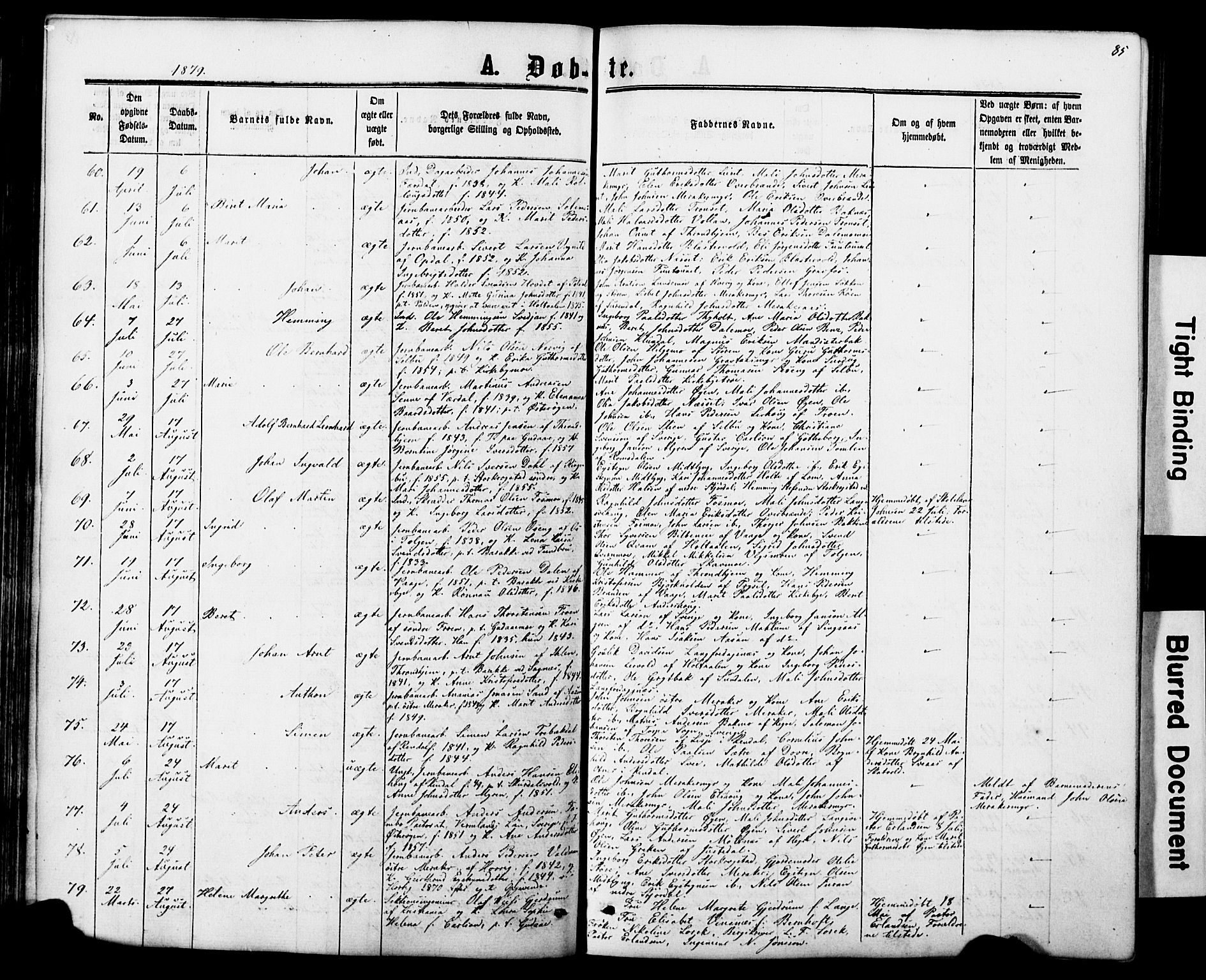 Ministerialprotokoller, klokkerbøker og fødselsregistre - Nord-Trøndelag, AV/SAT-A-1458/706/L0049: Parish register (copy) no. 706C01, 1864-1895, p. 85