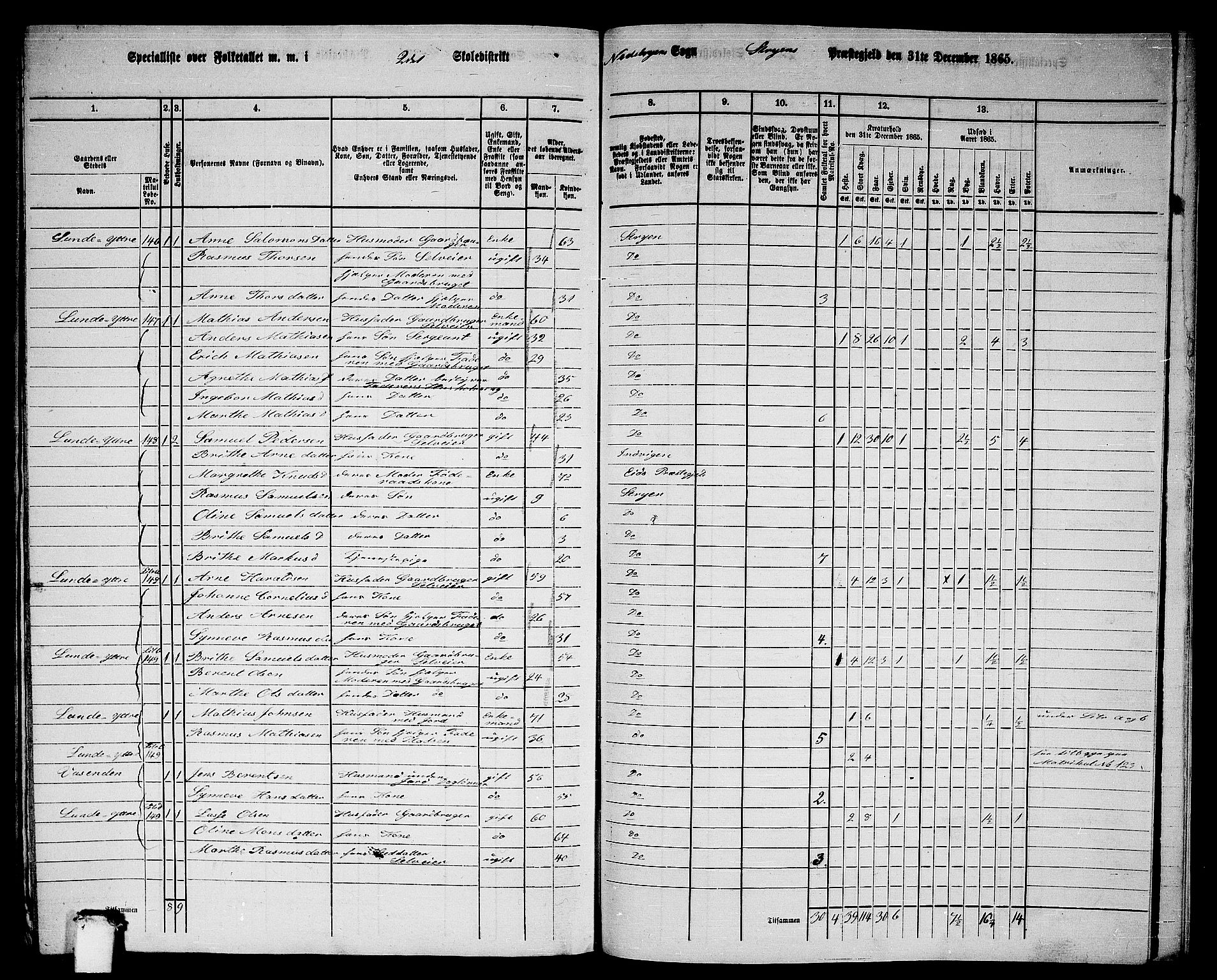 RA, 1865 census for Stryn, 1865, p. 92