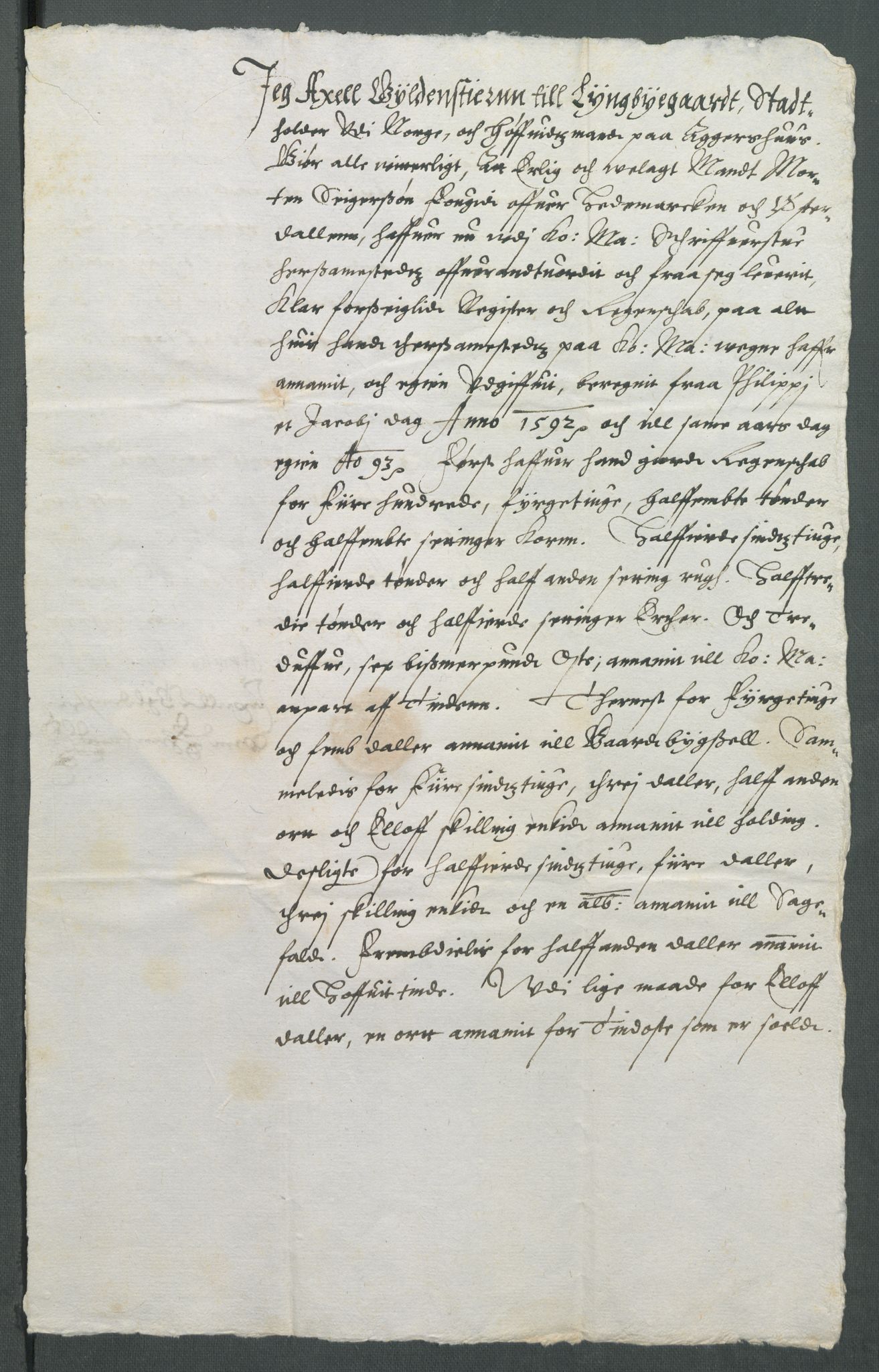 Riksarkivets diplomsamling, AV/RA-EA-5965/F02/L0099: Dokumenter, 1595, p. 28