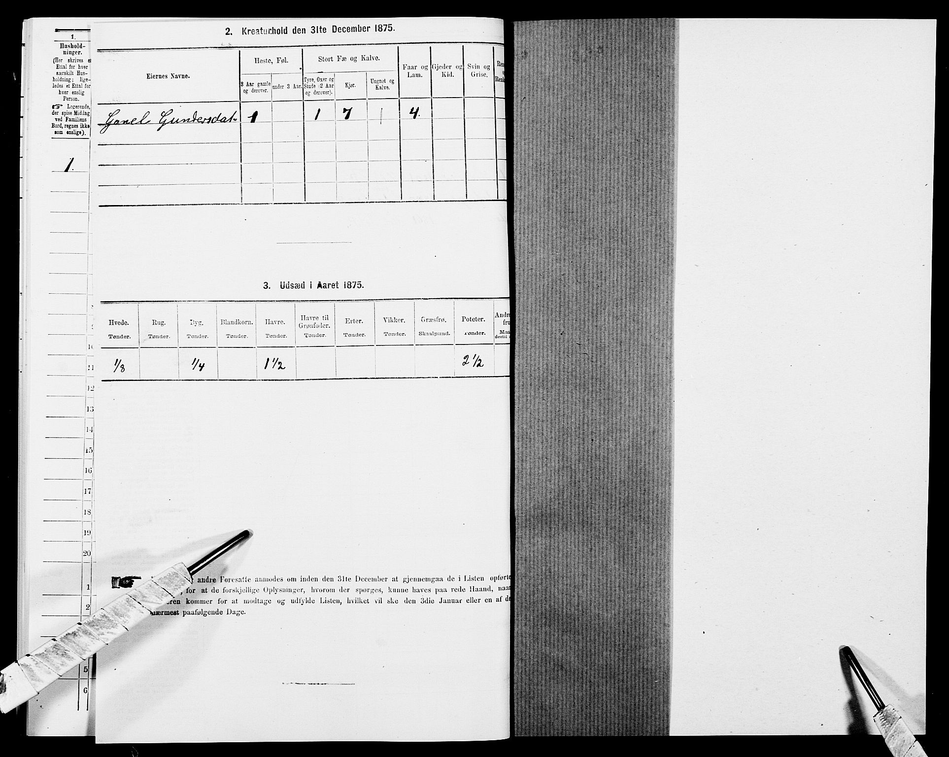 SAK, 1875 census for 1020P Holum, 1875, p. 522