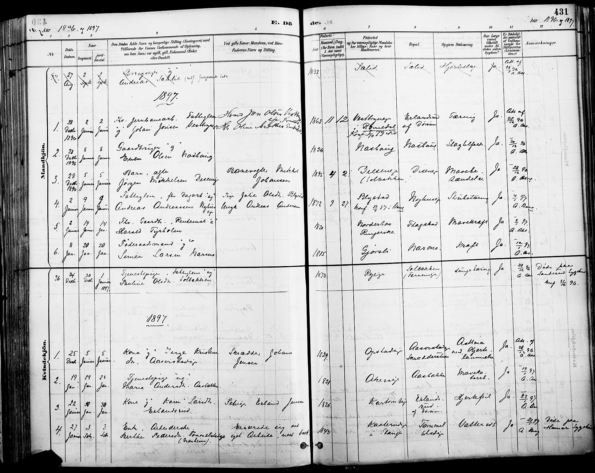 Vang prestekontor, Hedmark, SAH/PREST-008/H/Ha/Haa/L0019A: Parish register (official) no. 19, 1886-1900, p. 431
