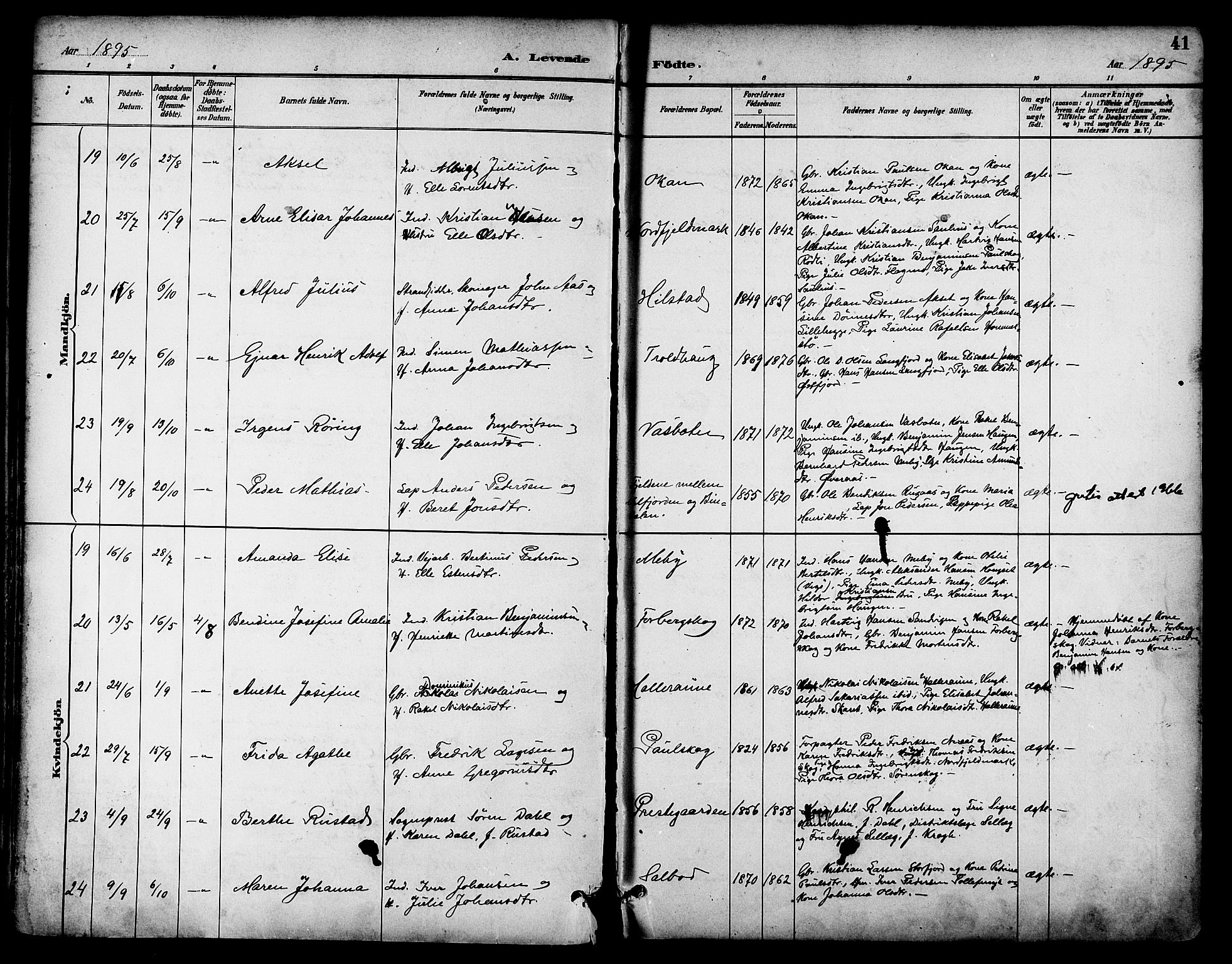 Ministerialprotokoller, klokkerbøker og fødselsregistre - Nordland, AV/SAT-A-1459/814/L0226: Parish register (official) no. 814A07, 1886-1898, p. 41