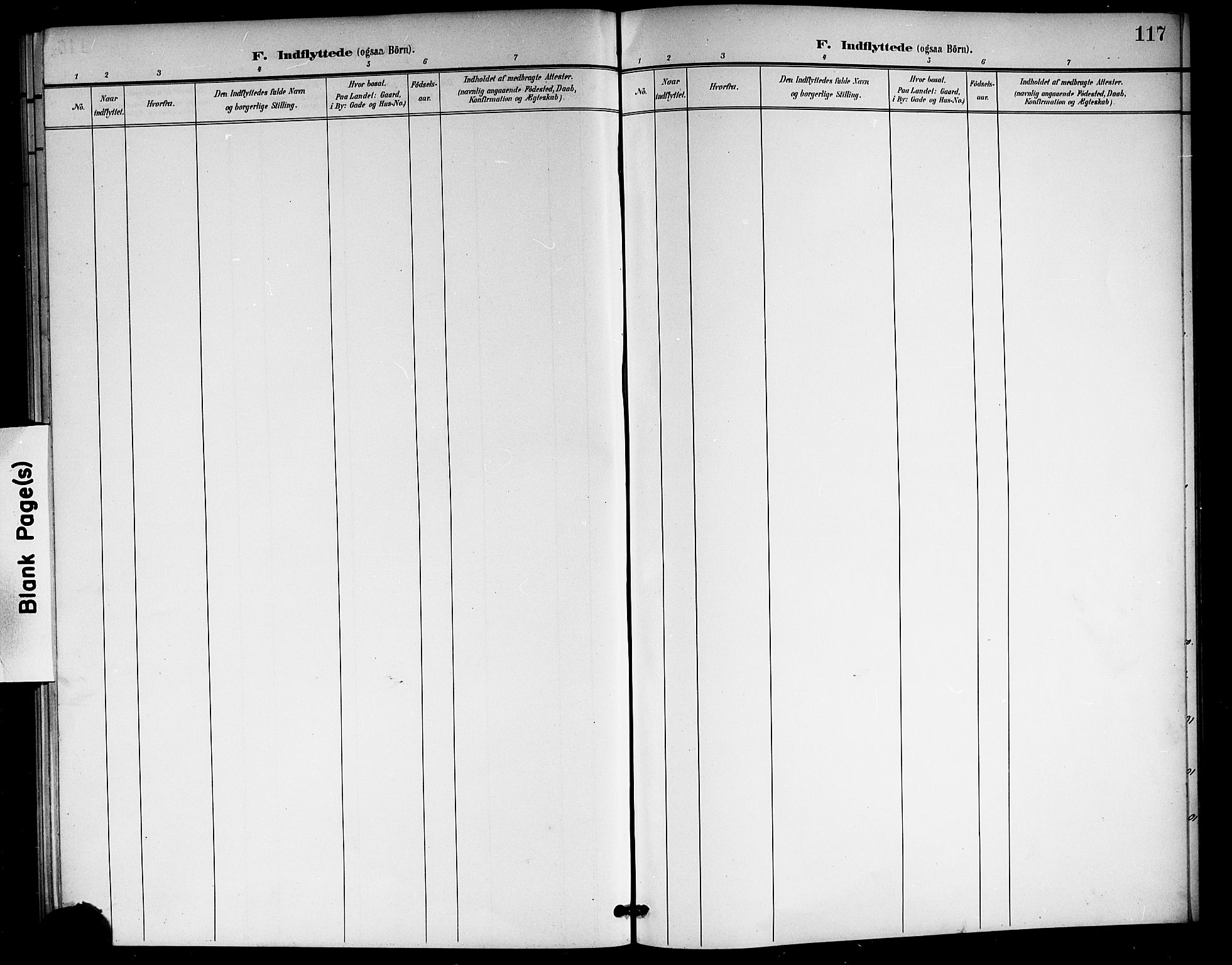 Rollag kirkebøker, AV/SAKO-A-240/G/Gb/L0003: Parish register (copy) no. II 3, 1897-1919, p. 117