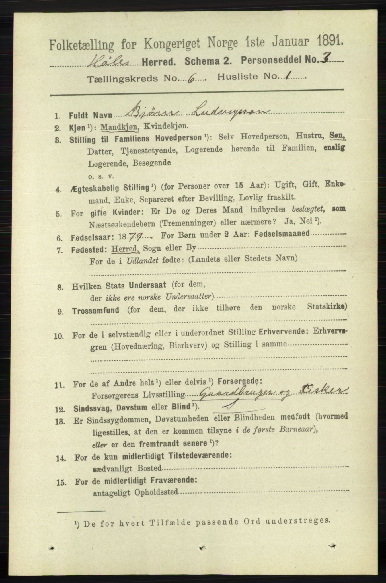 RA, 1891 census for 1128 Høle, 1891, p. 1294