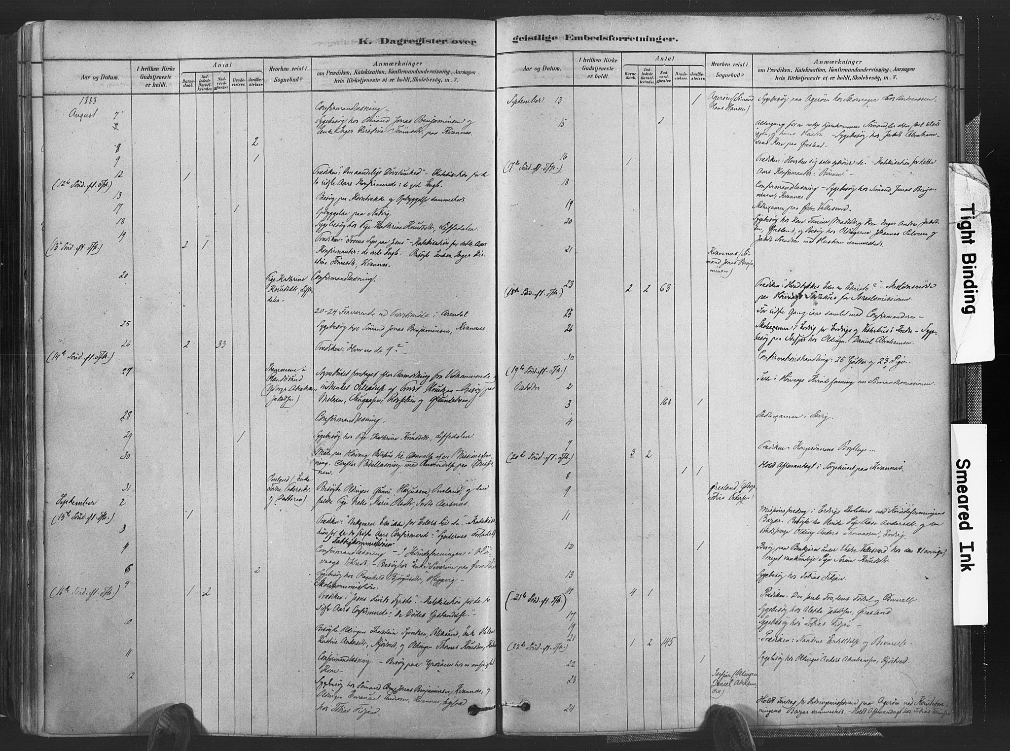 Høvåg sokneprestkontor, AV/SAK-1111-0025/F/Fa/L0005: Parish register (official) no. A 5, 1878-1893, p. 425