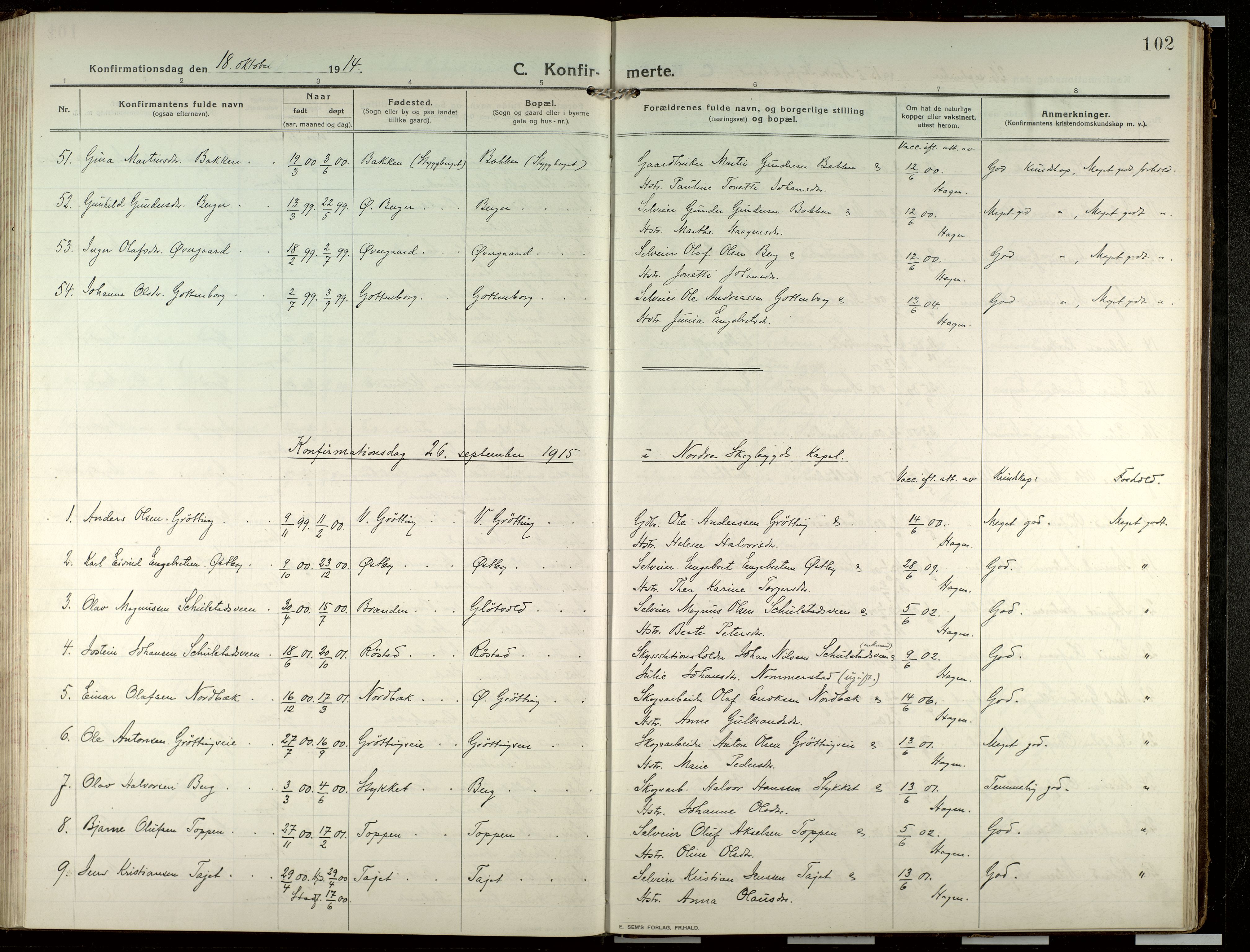 Elverum prestekontor, SAH/PREST-044/H/Ha/Haa/L0022: Parish register (official) no. 22, 1913-1924, p. 102