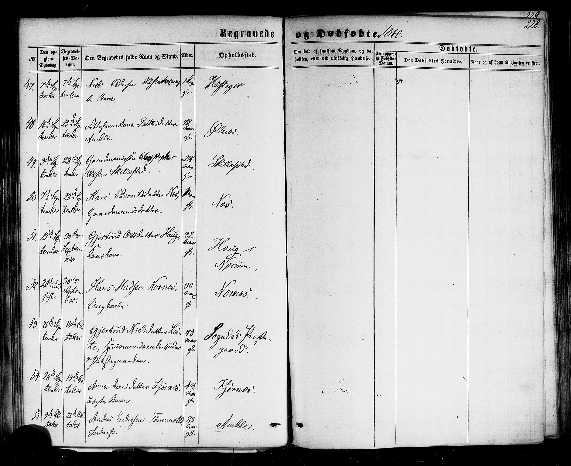 Sogndal sokneprestembete, SAB/A-81301/H/Haa/Haaa/L0013: Parish register (official) no. A 13, 1859-1877, p. 228