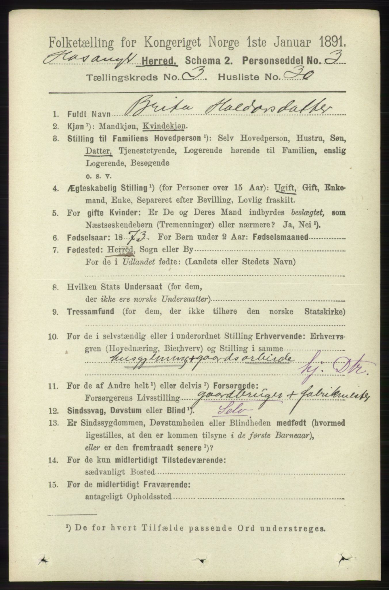 RA, 1891 census for 1253 Hosanger, 1891, p. 1217