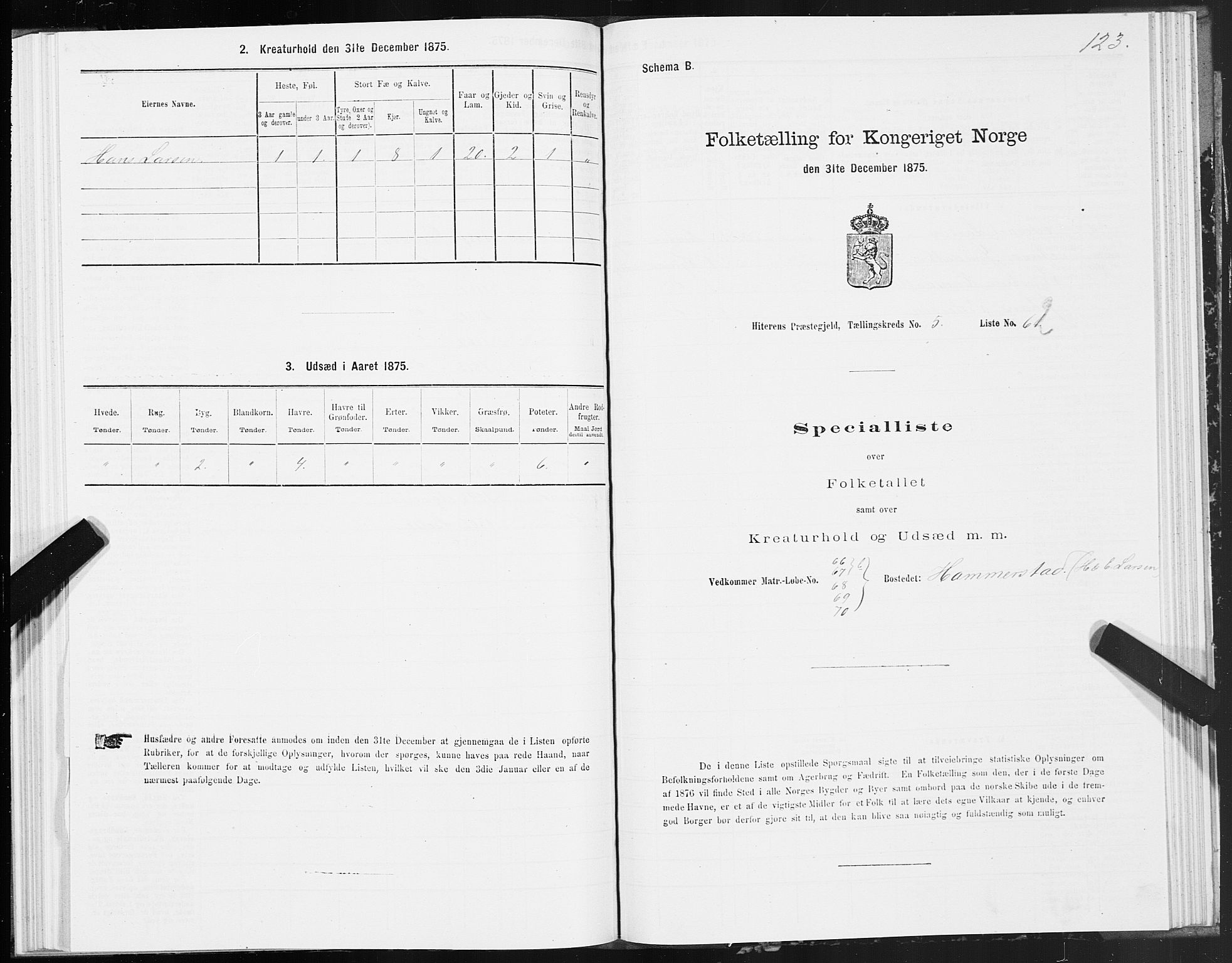 SAT, 1875 census for 1617P Hitra, 1875, p. 3123