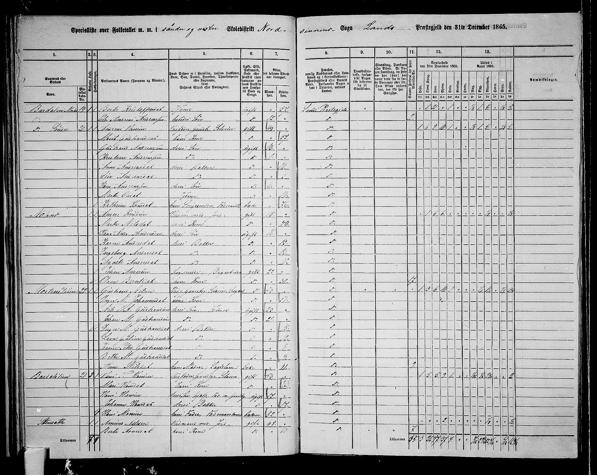 RA, 1865 census for Land, 1865, p. 48