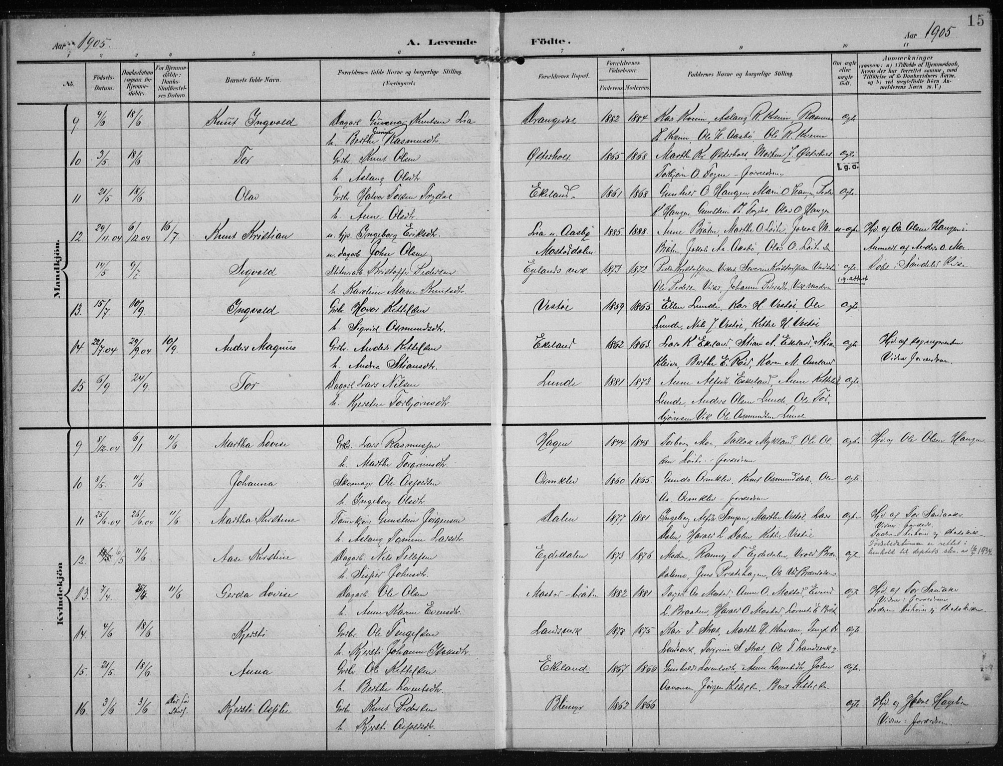 Gjerstad sokneprestkontor, AV/SAK-1111-0014/F/Fa/Faa/L0011: Parish register (official) no. A 11, 1903-1914, p. 15