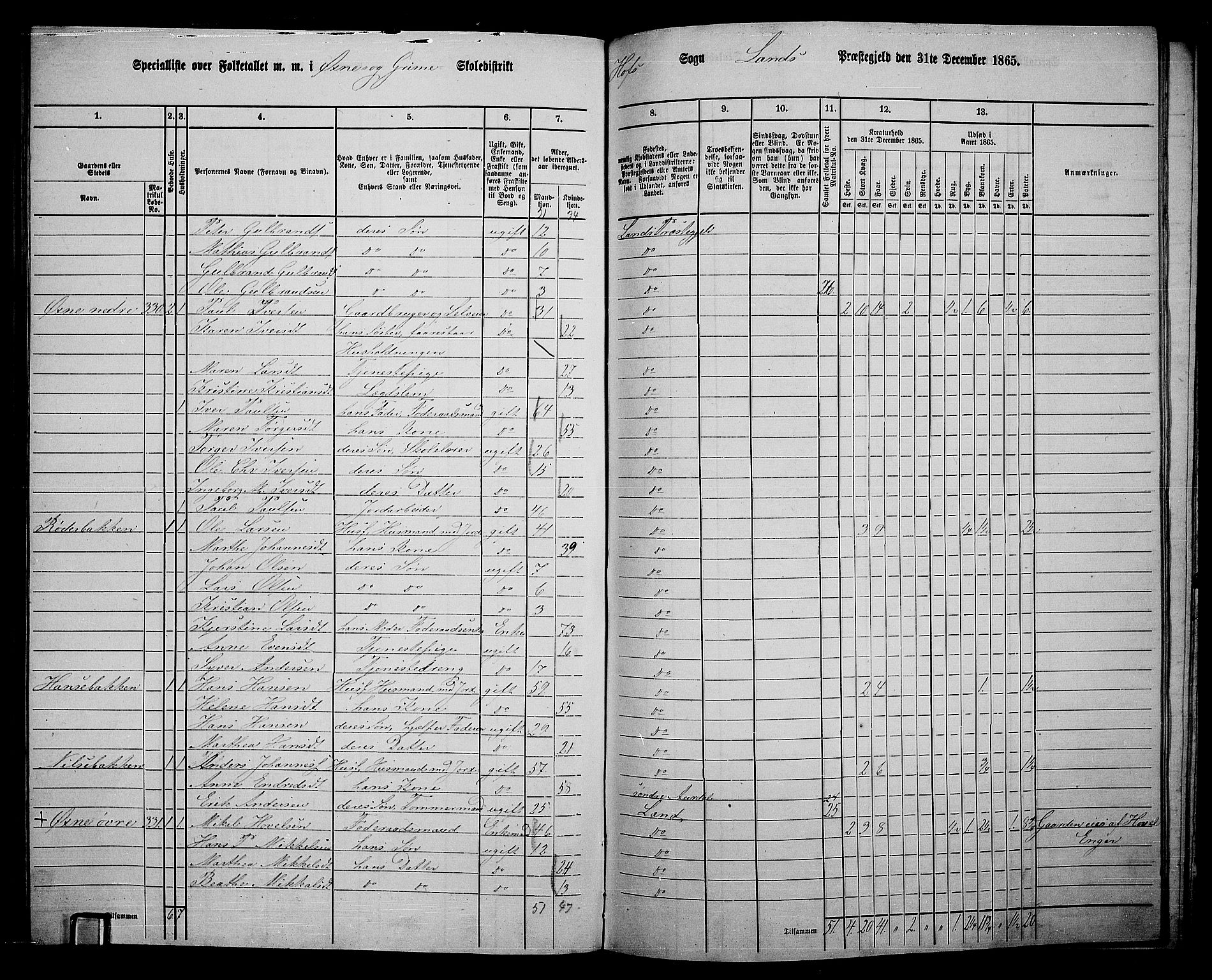 RA, 1865 census for Land, 1865, p. 377