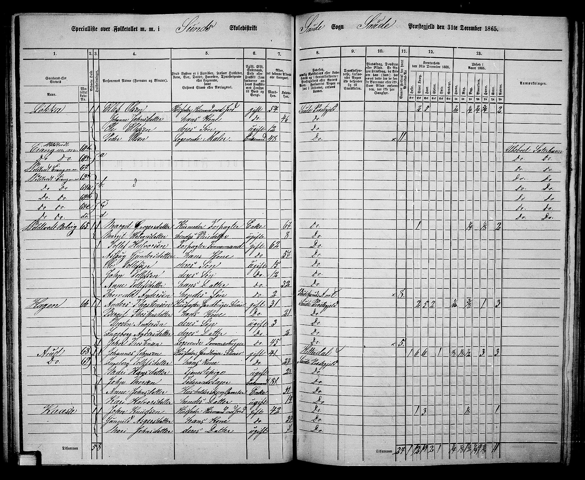 RA, 1865 census for Sauherad, 1865, p. 58