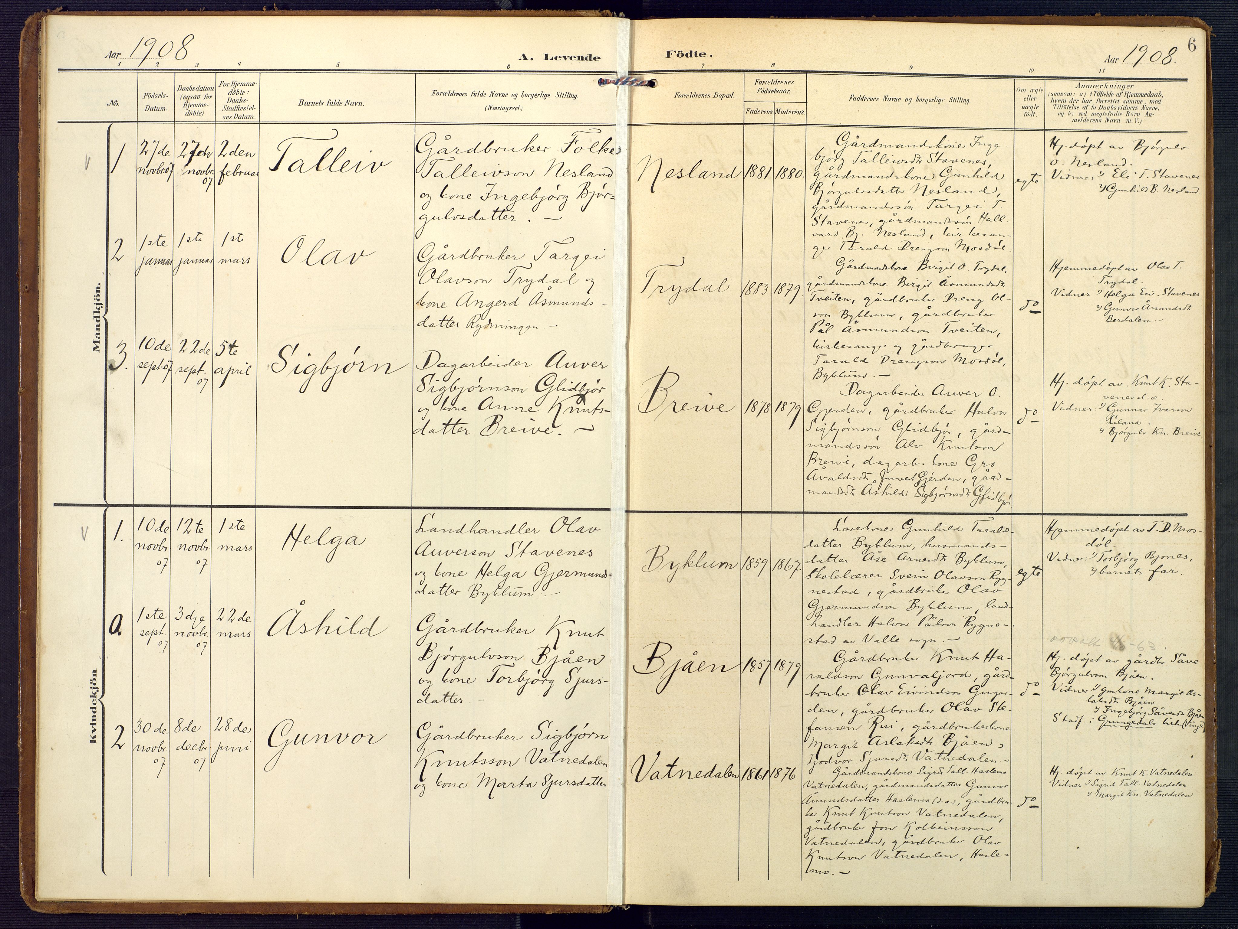 Valle sokneprestkontor, SAK/1111-0044/F/Fa/Faa/L0002: Parish register (official) no. A 2, 1907-1919, p. 6