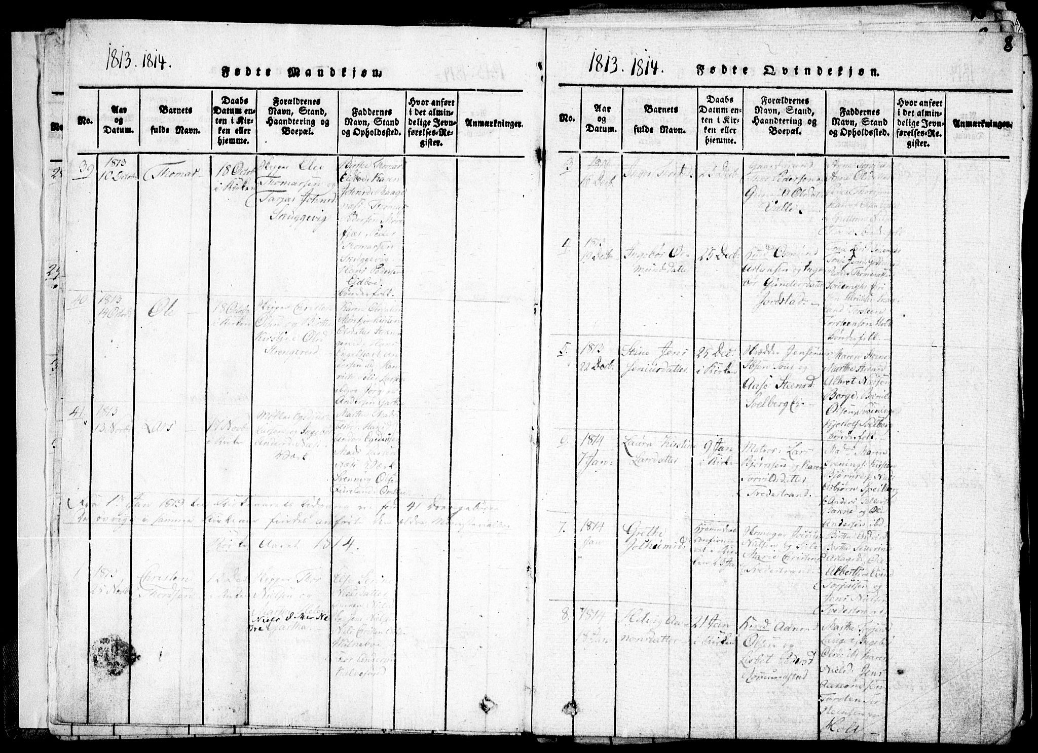 Holt sokneprestkontor, AV/SAK-1111-0021/F/Fa/L0005: Parish register (official) no. A 5, 1813-1821, p. 8