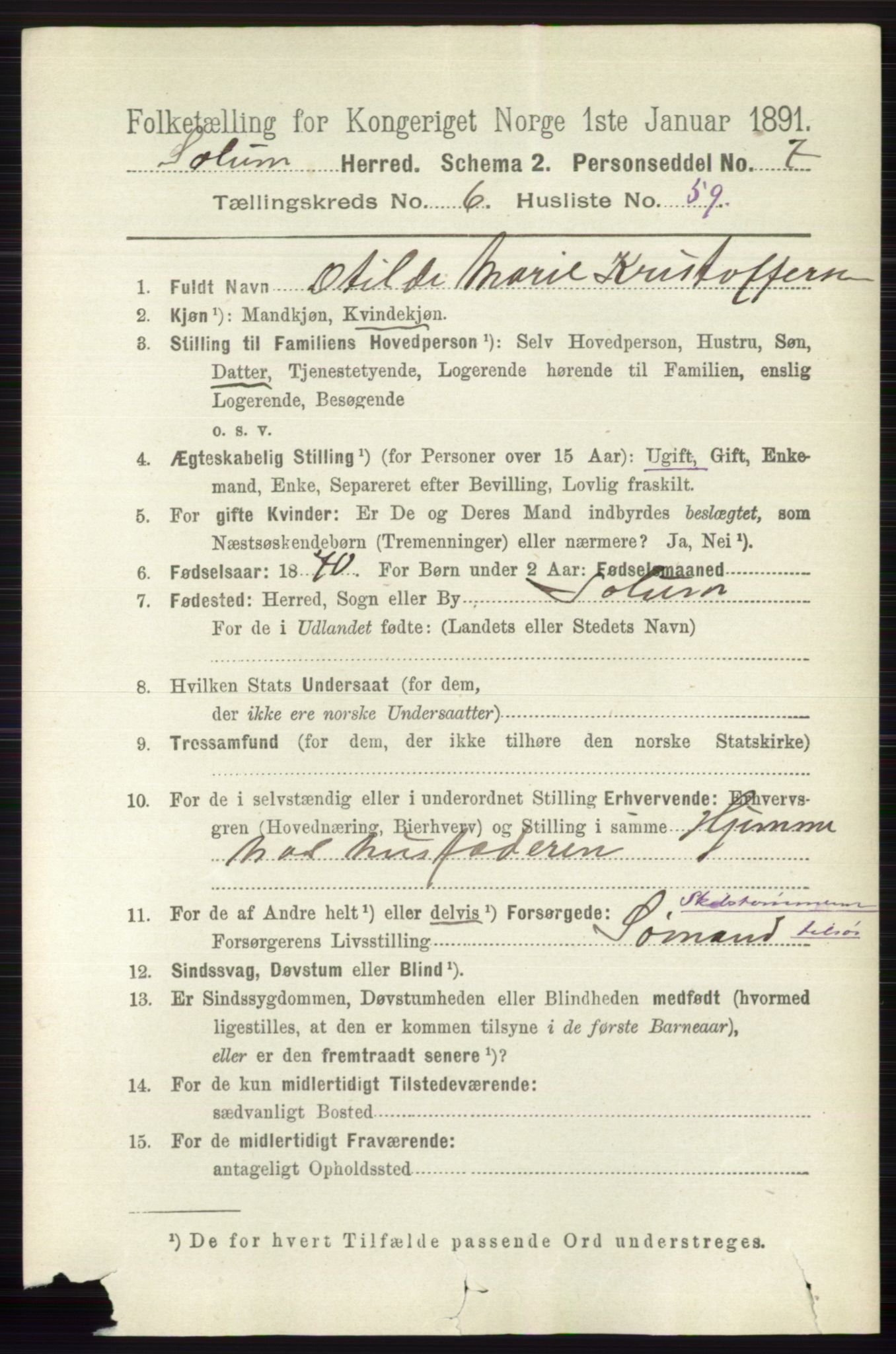 RA, 1891 census for 0818 Solum, 1891, p. 1528