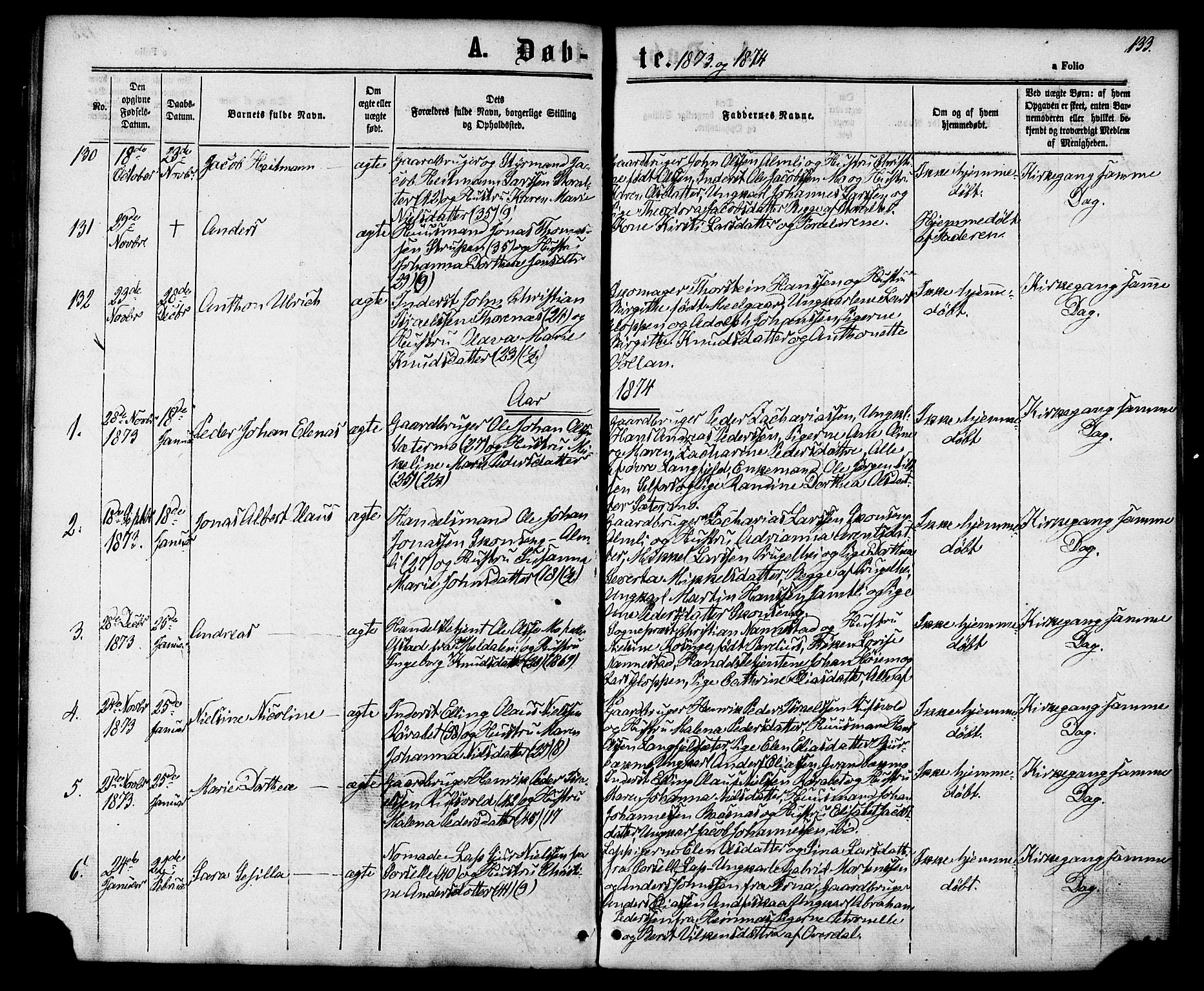 Ministerialprotokoller, klokkerbøker og fødselsregistre - Nordland, AV/SAT-A-1459/827/L0393: Parish register (official) no. 827A05, 1863-1883, p. 133