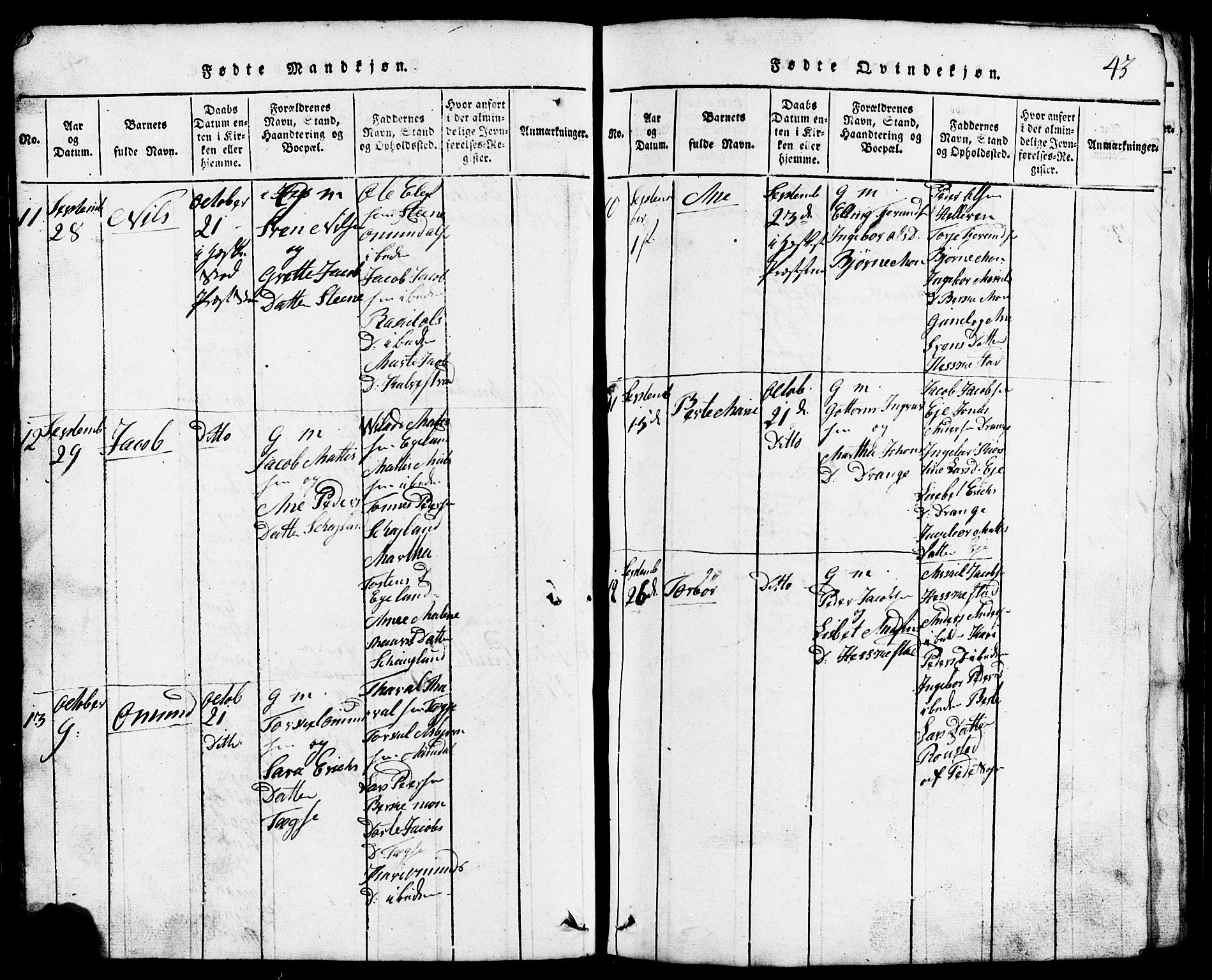 Lund sokneprestkontor, AV/SAST-A-101809/S07/L0001: Parish register (copy) no. B 1, 1815-1853, p. 43