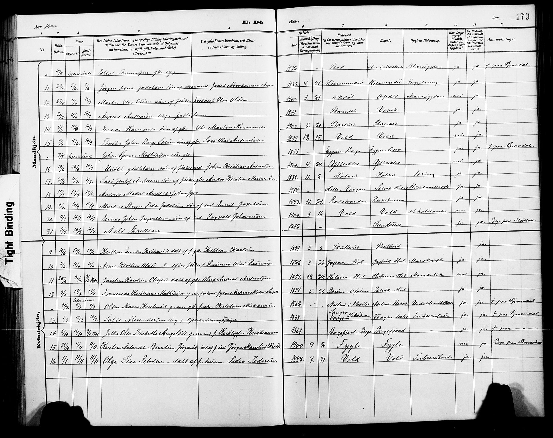 Ministerialprotokoller, klokkerbøker og fødselsregistre - Nordland, AV/SAT-A-1459/881/L1168: Parish register (copy) no. 881C05, 1900-1911, p. 179