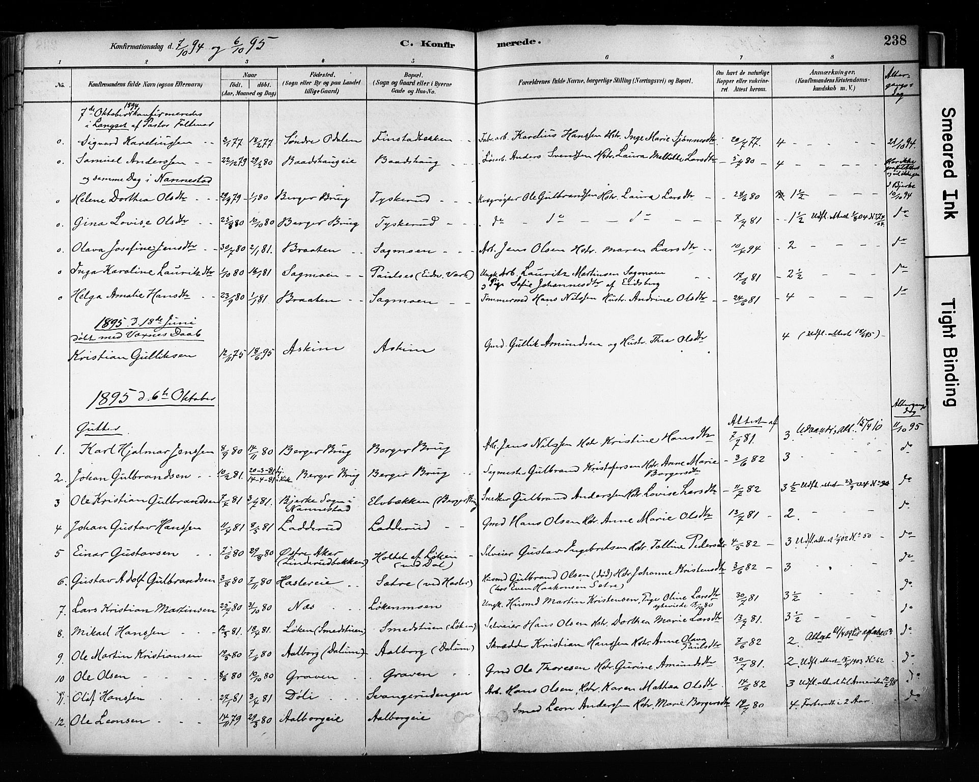 Eidsvoll prestekontor Kirkebøker, SAO/A-10888/F/Fa/L0002: Parish register (official) no. I 2, 1882-1895, p. 238