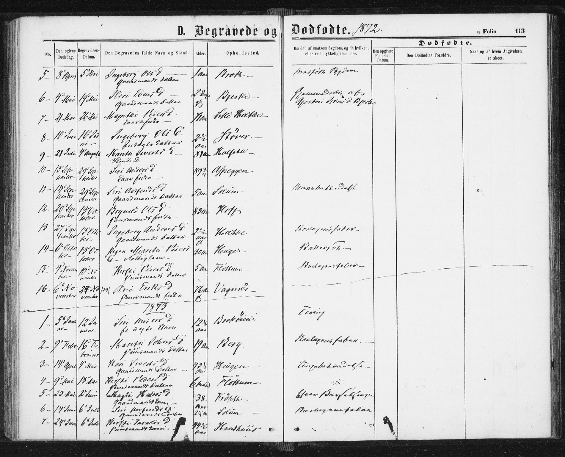 Ministerialprotokoller, klokkerbøker og fødselsregistre - Sør-Trøndelag, SAT/A-1456/689/L1039: Parish register (official) no. 689A04, 1865-1878, p. 113